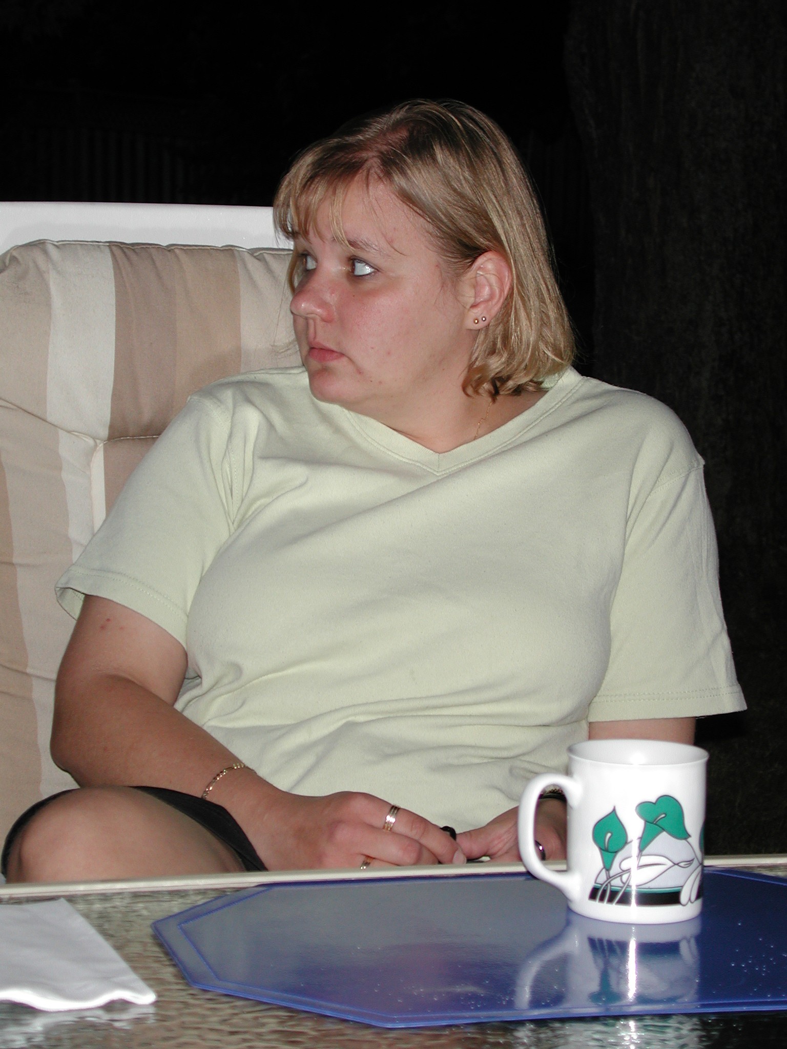 DSCN5007.JPG, 517941 bytes, 12/27/02