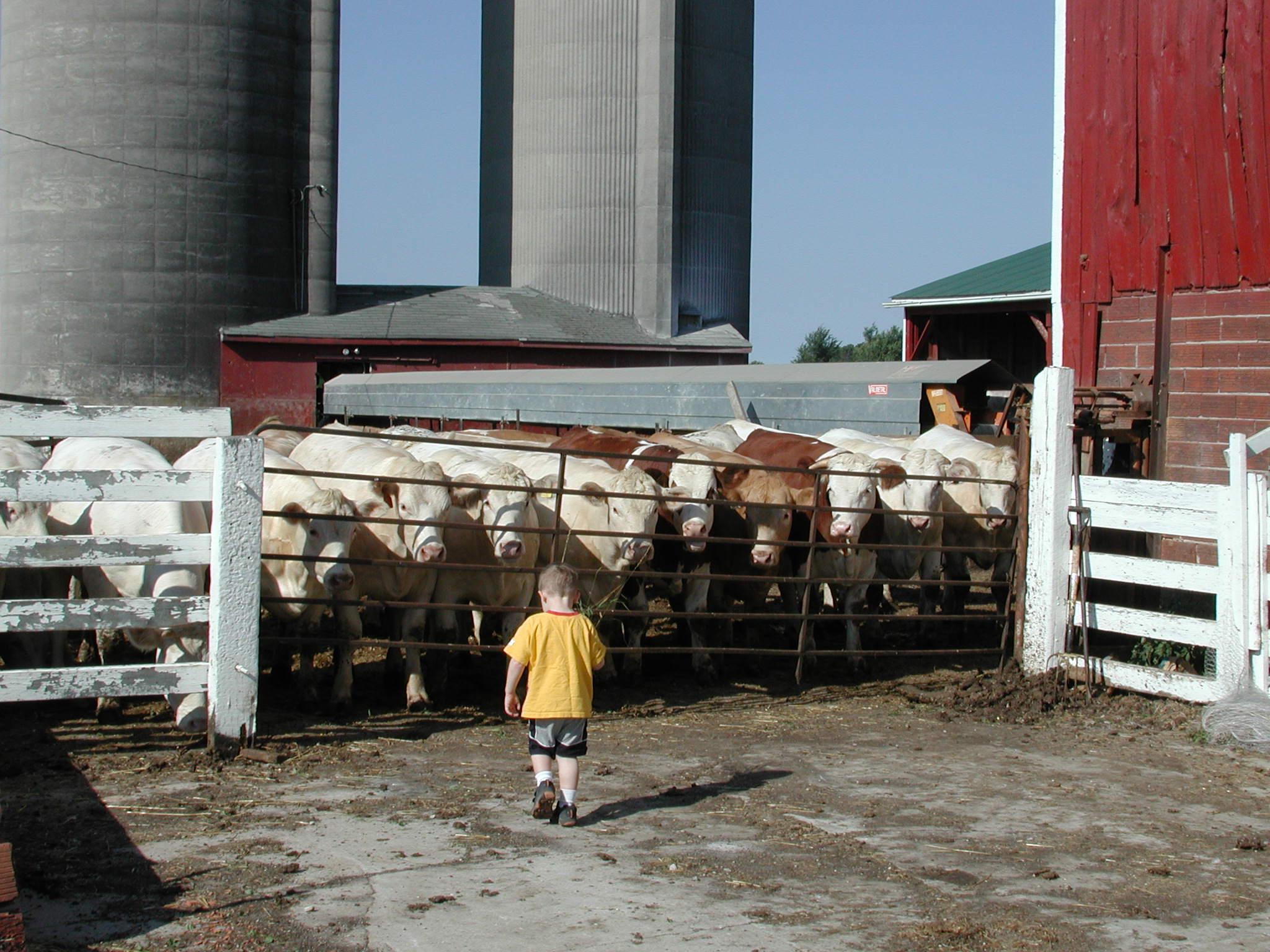 DSCN4935.JPG, 1027692 bytes, 8/28/02