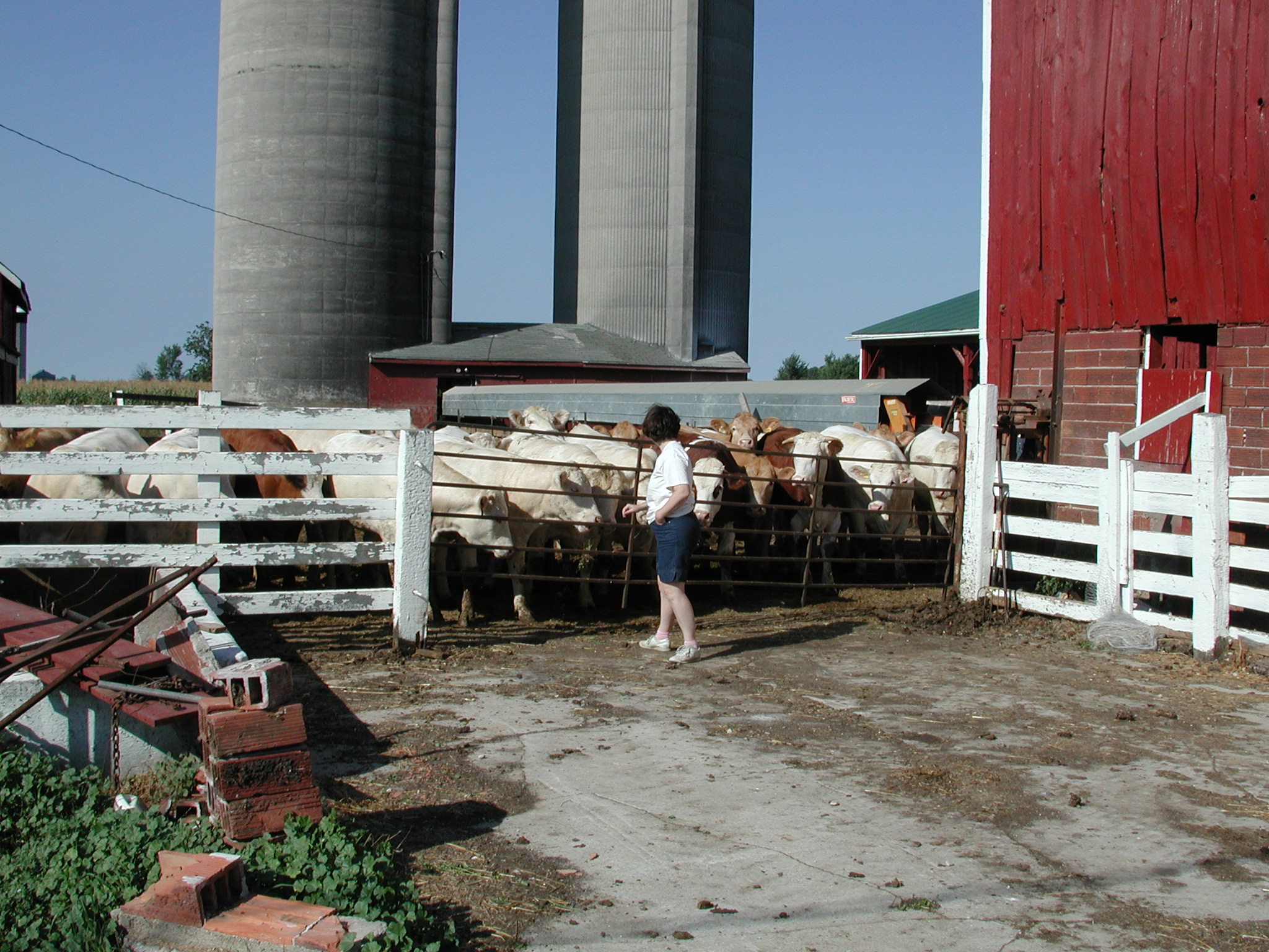 DSCN4937.JPG, 1078695 bytes, 8/28/02