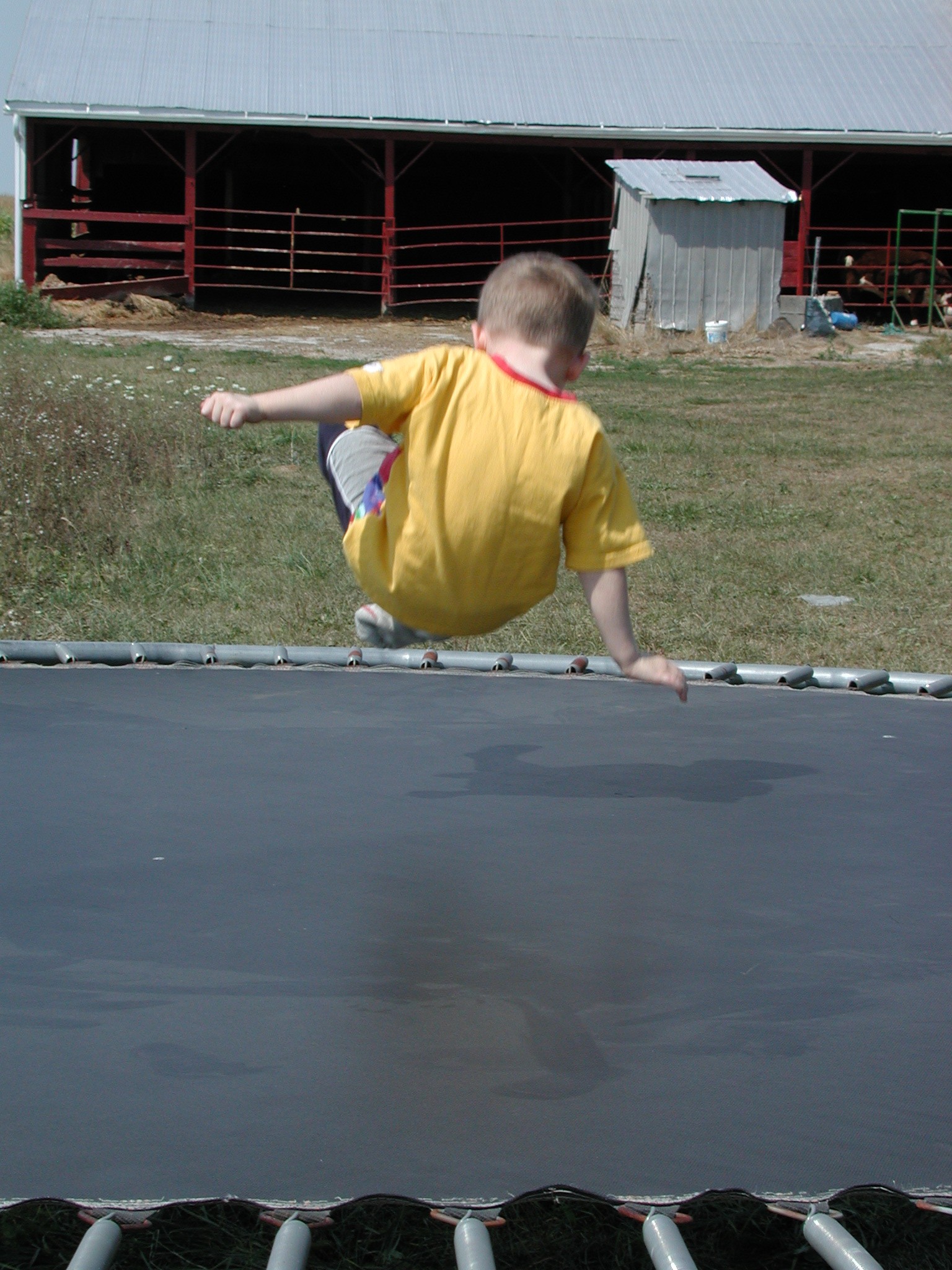 DSCN4946.JPG, 683610 bytes, 12/24/02