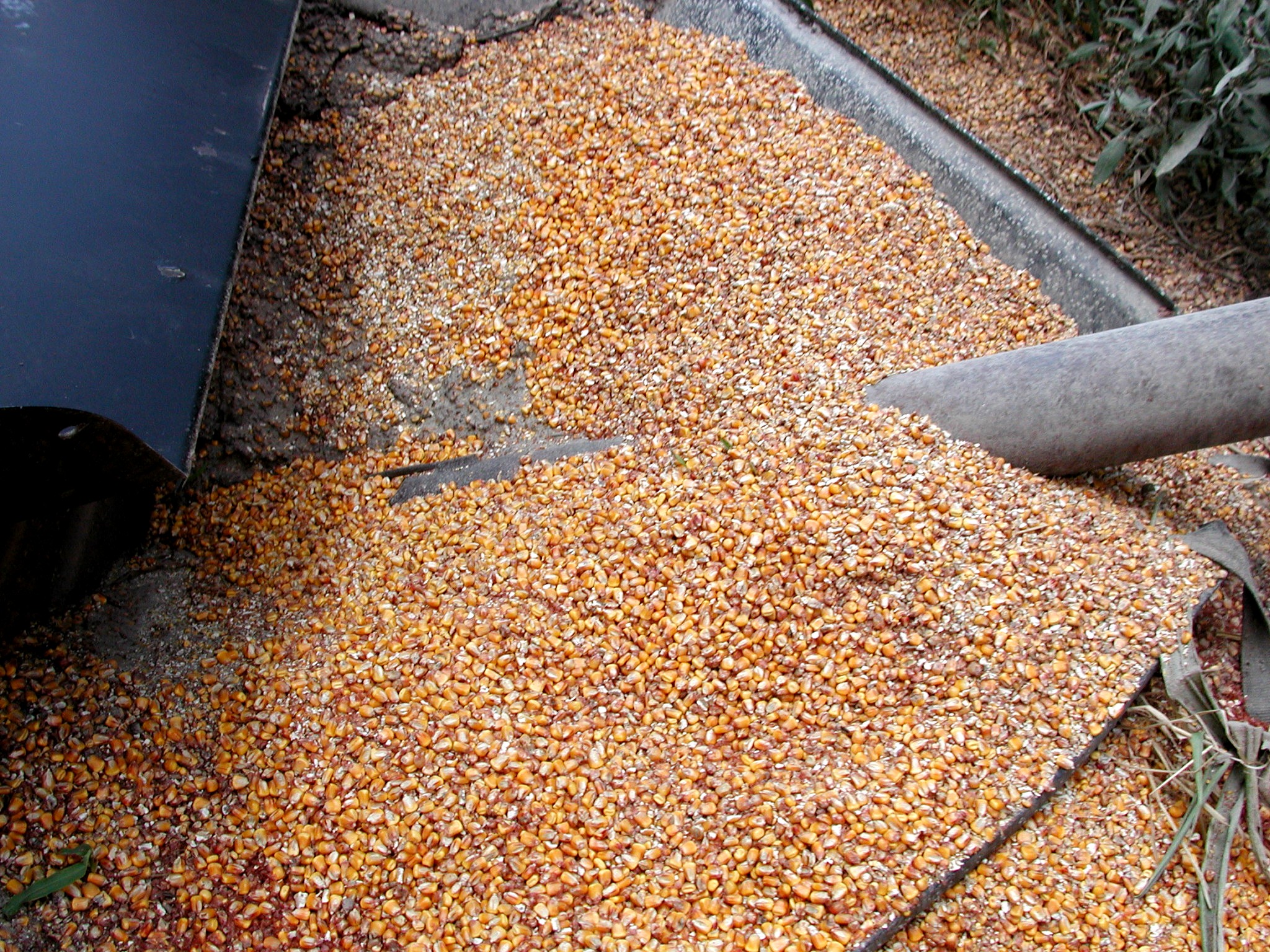 DSCN4973.JPG, 1225976 bytes, 12/24/02