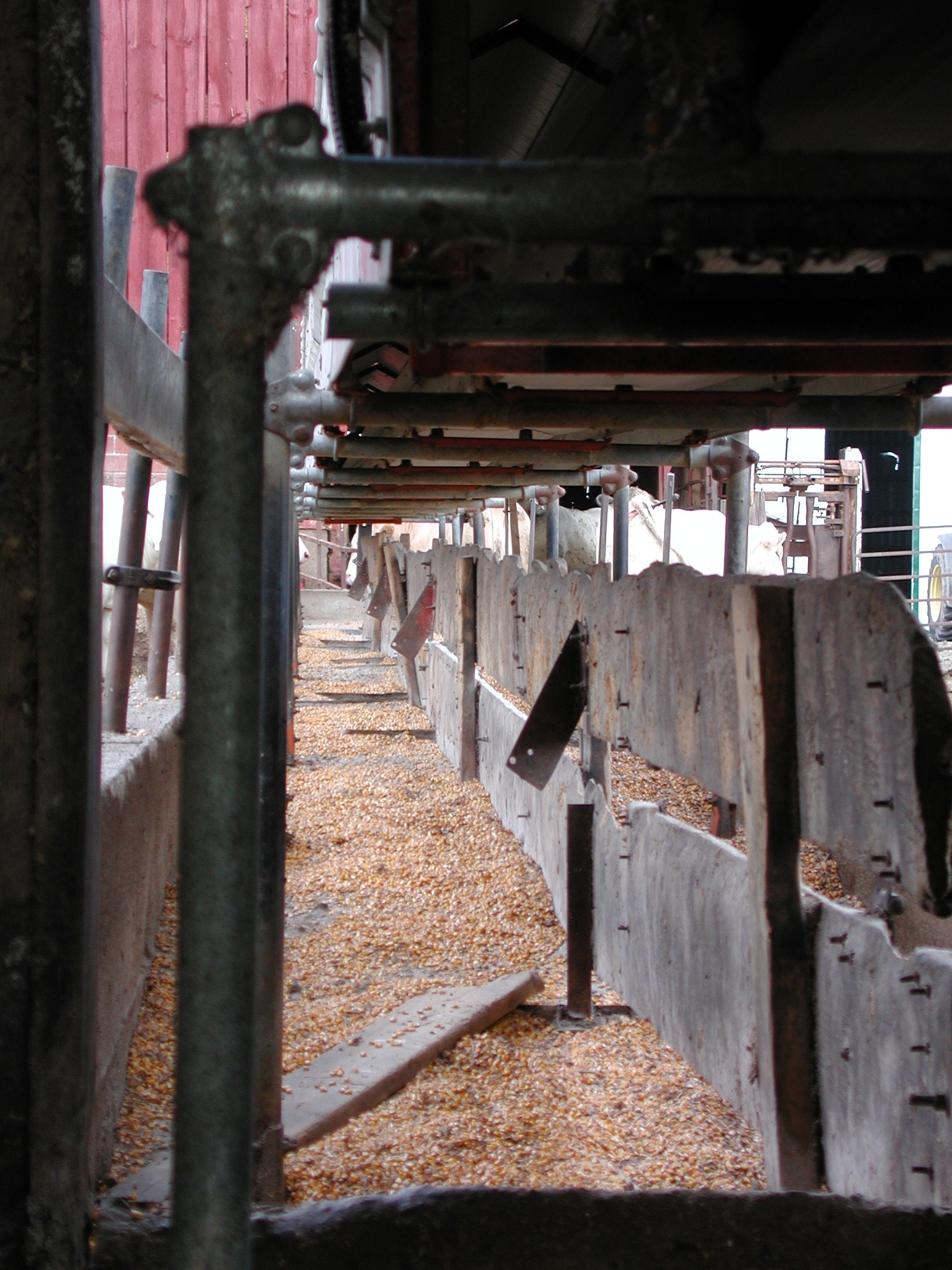 DSCN4979.JPG, 705467 bytes, 9/05/02