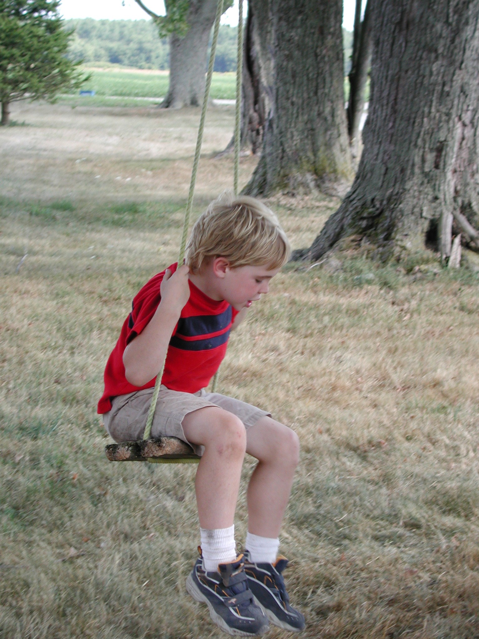 DSCN4984.JPG, 762997 bytes, 9/05/02