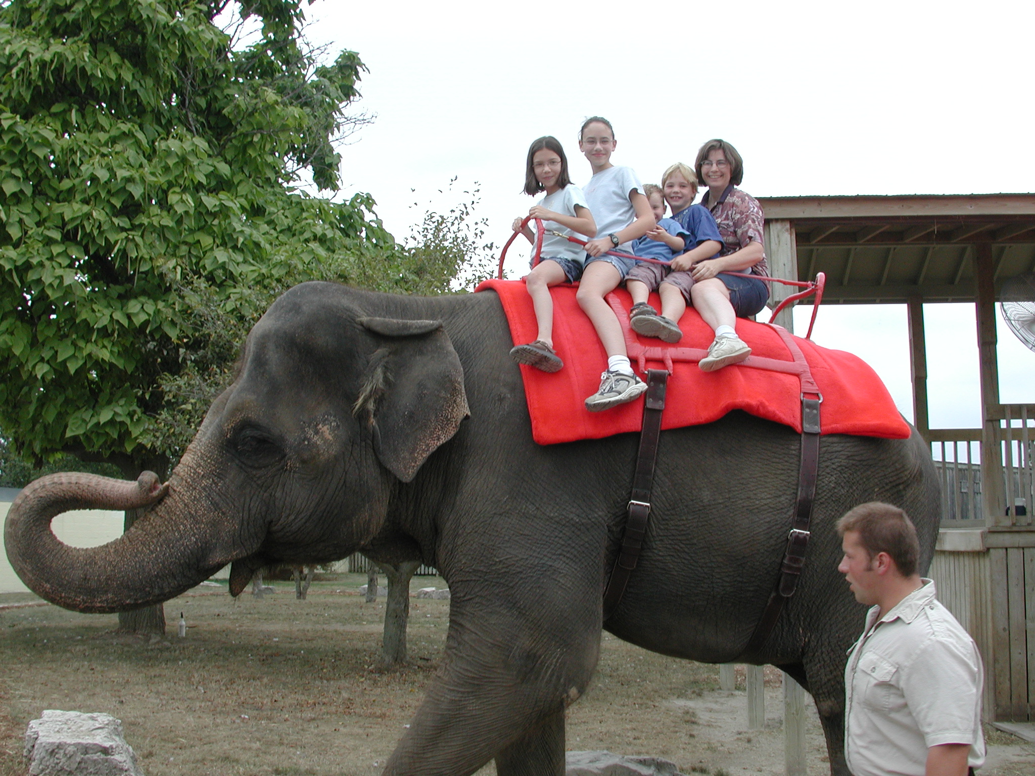 DSCN5010.JPG, 957200 bytes, 8/29/02