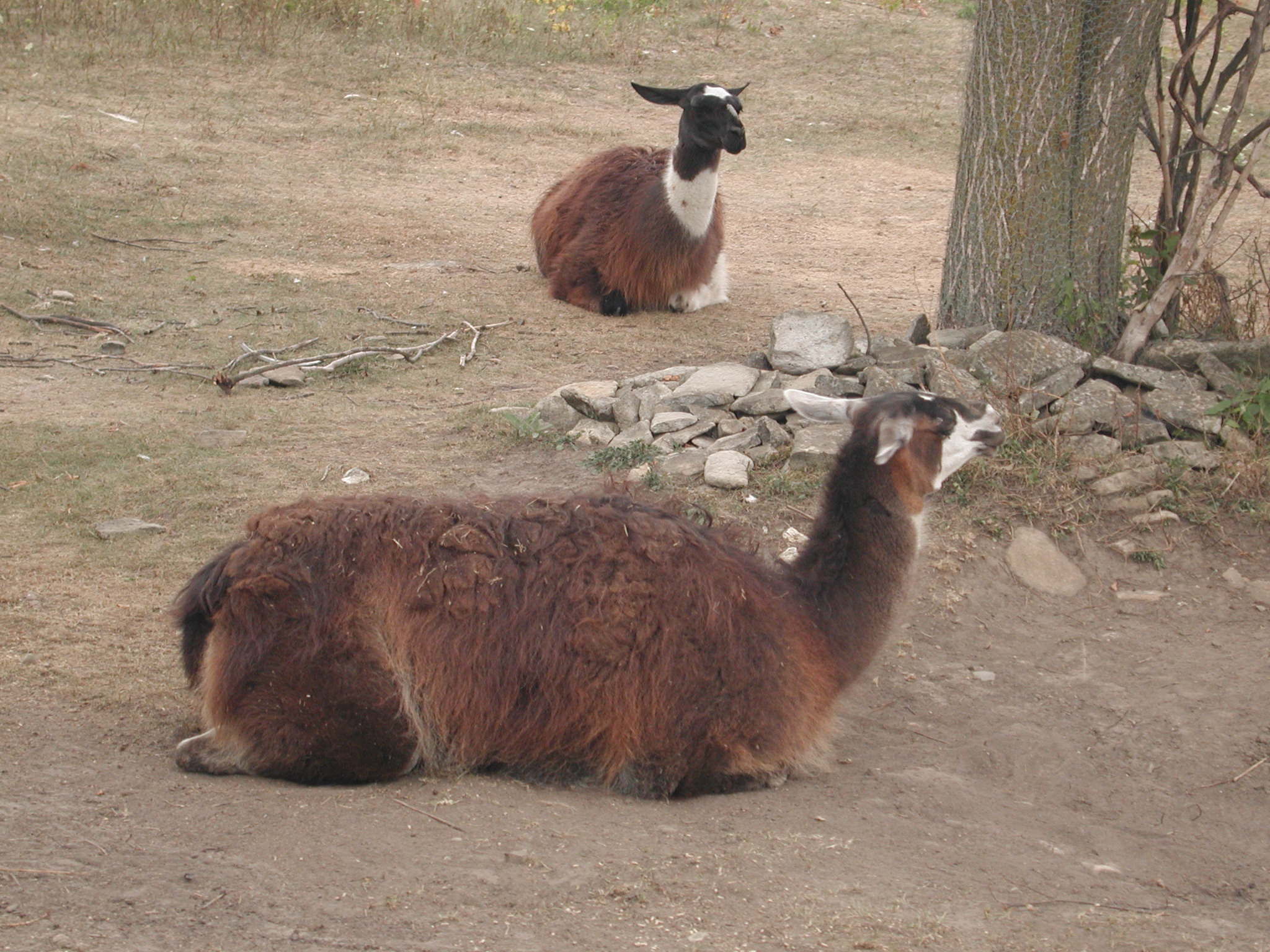 DSCN5014.JPG, 1039623 bytes, 8/29/02