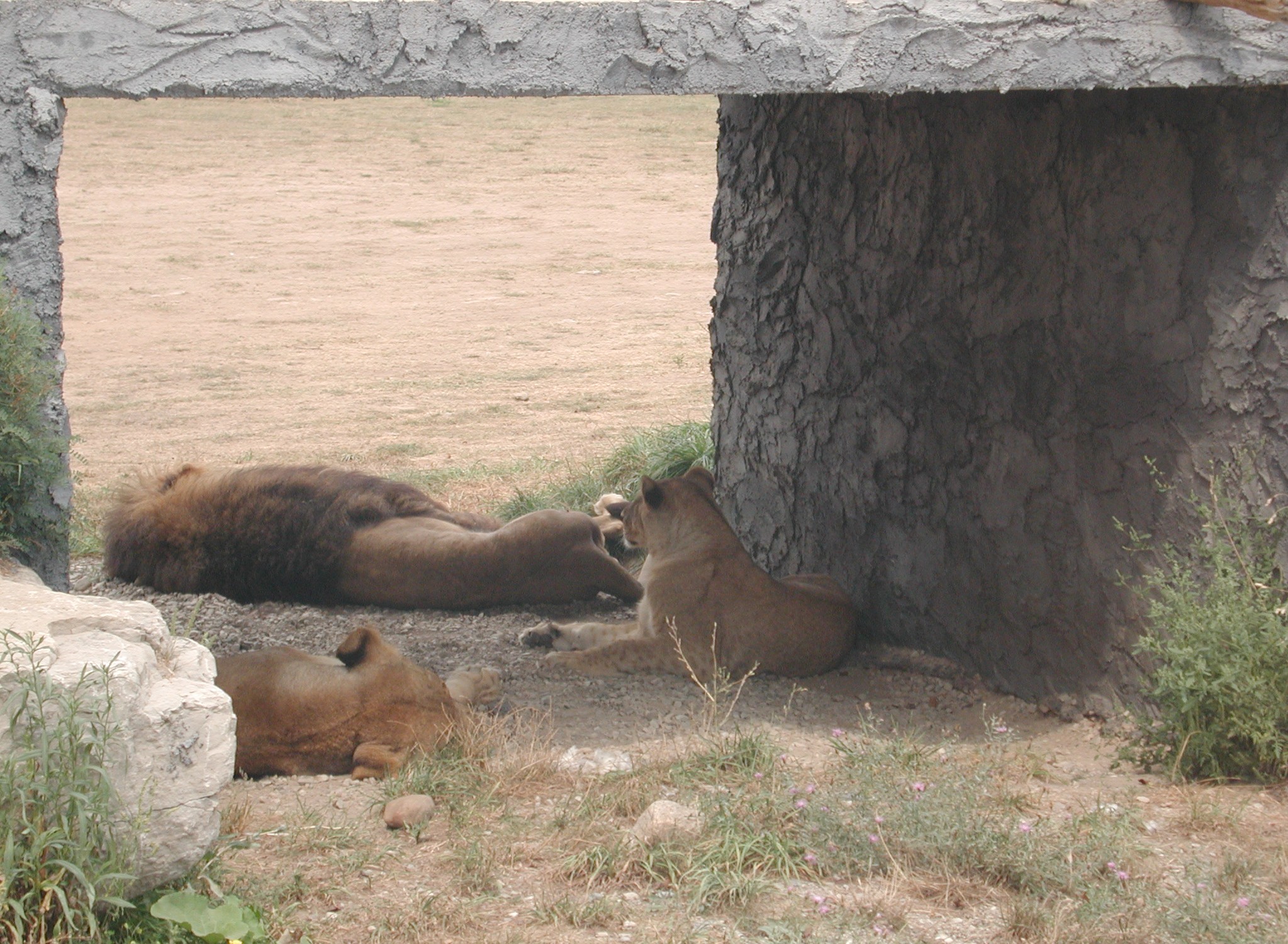 DSCN5016.JPG, 796807 bytes, 12/27/02