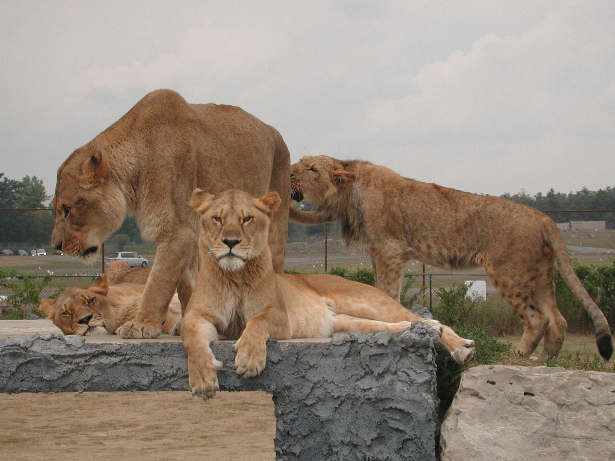 DSCN5018.JPG, 1106091 bytes, 8/29/02