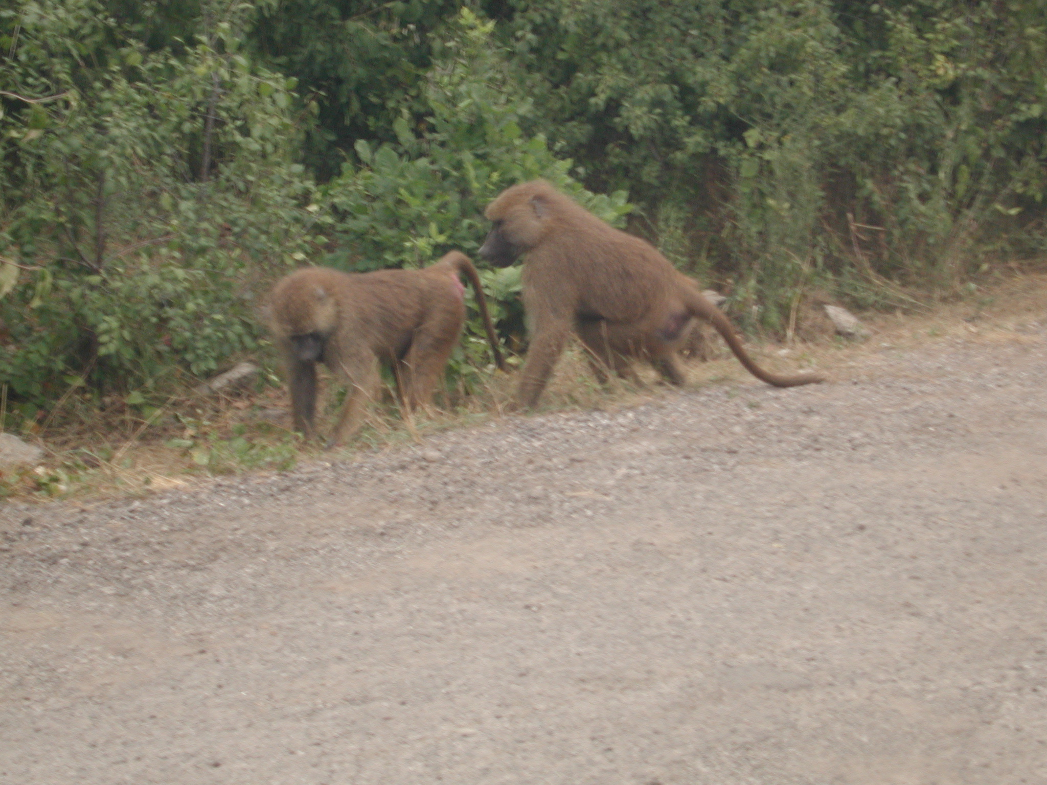 DSCN5026.JPG, 1079737 bytes, 8/29/02