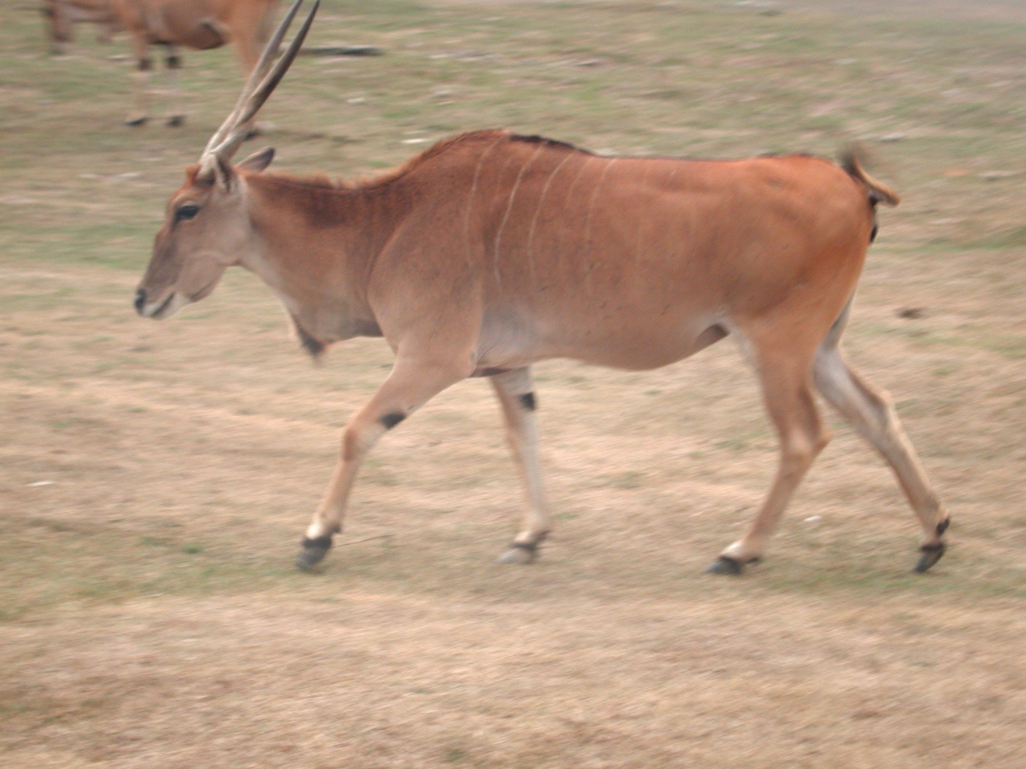 DSCN5029.JPG, 642953 bytes, 12/27/02