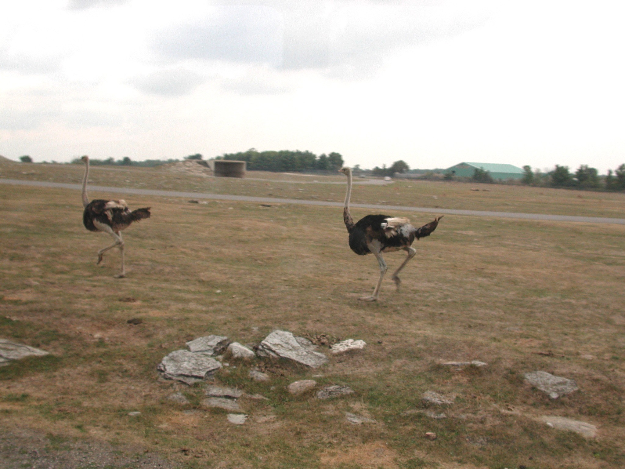 DSCN5031.JPG, 564483 bytes, 12/27/02