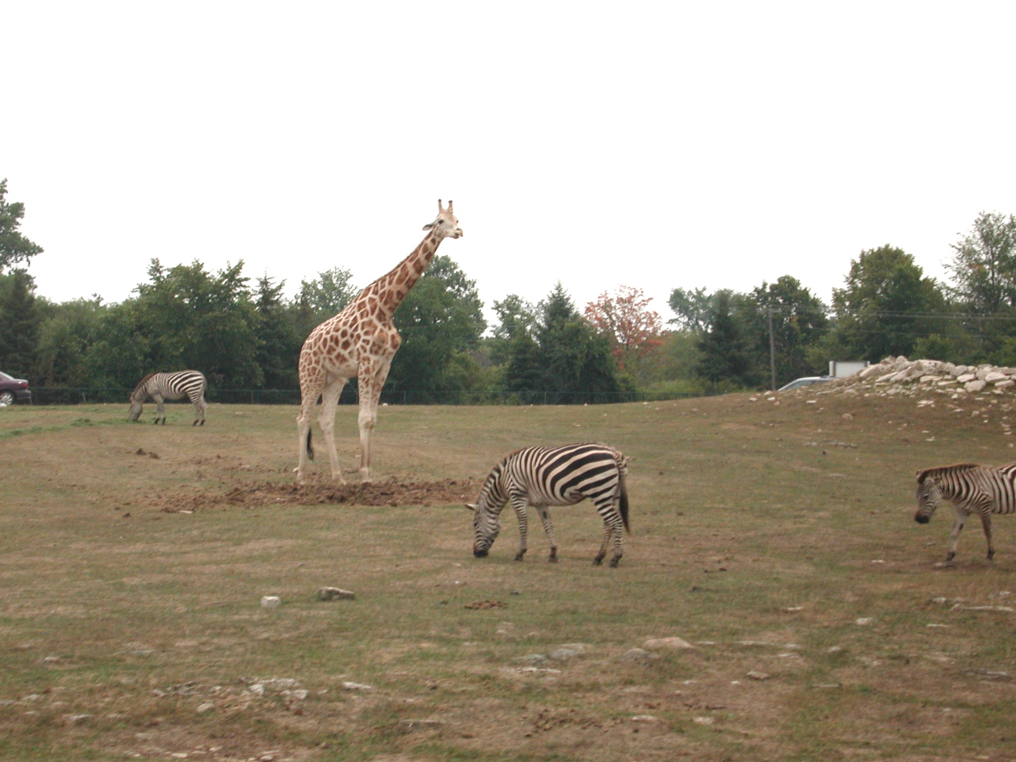 DSCN5032.JPG, 586862 bytes, 12/27/02