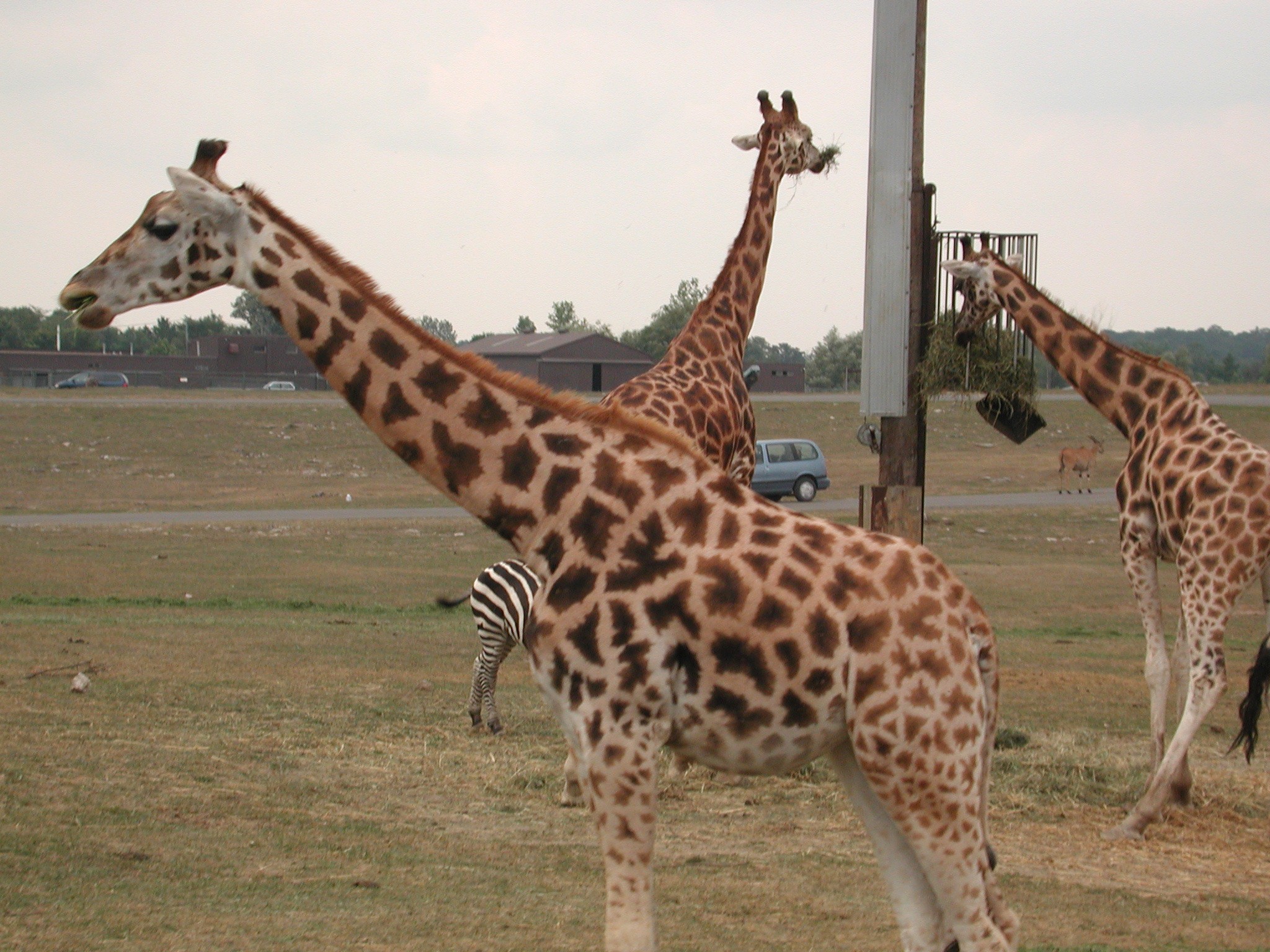 DSCN5033.JPG, 772992 bytes, 12/27/02