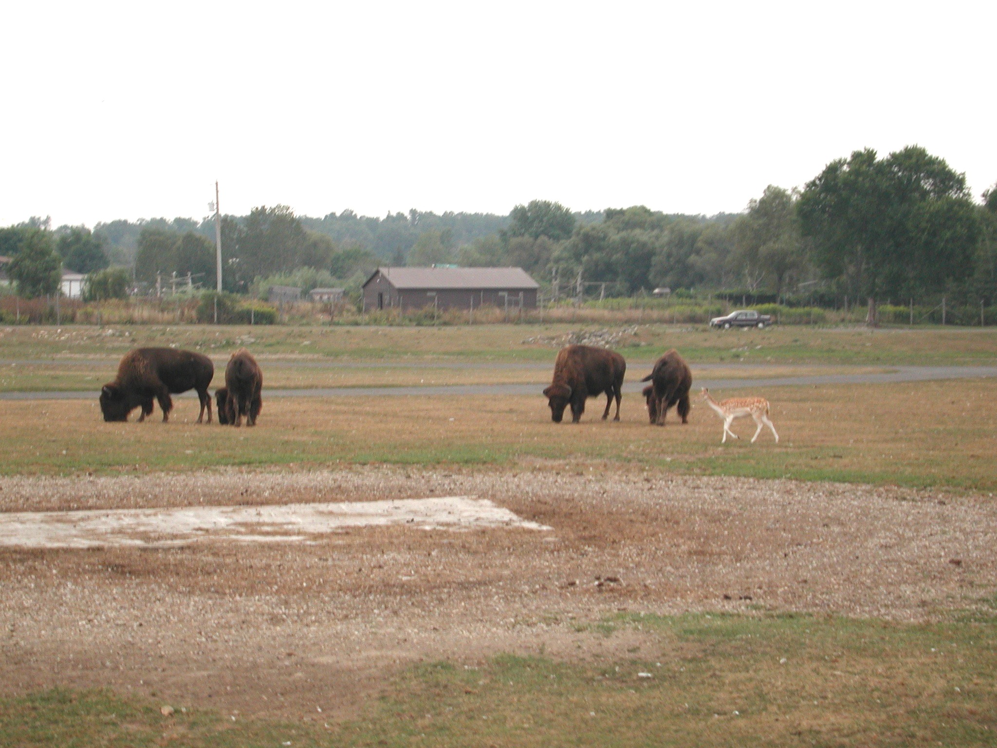 DSCN5034.JPG, 650593 bytes, 12/27/02