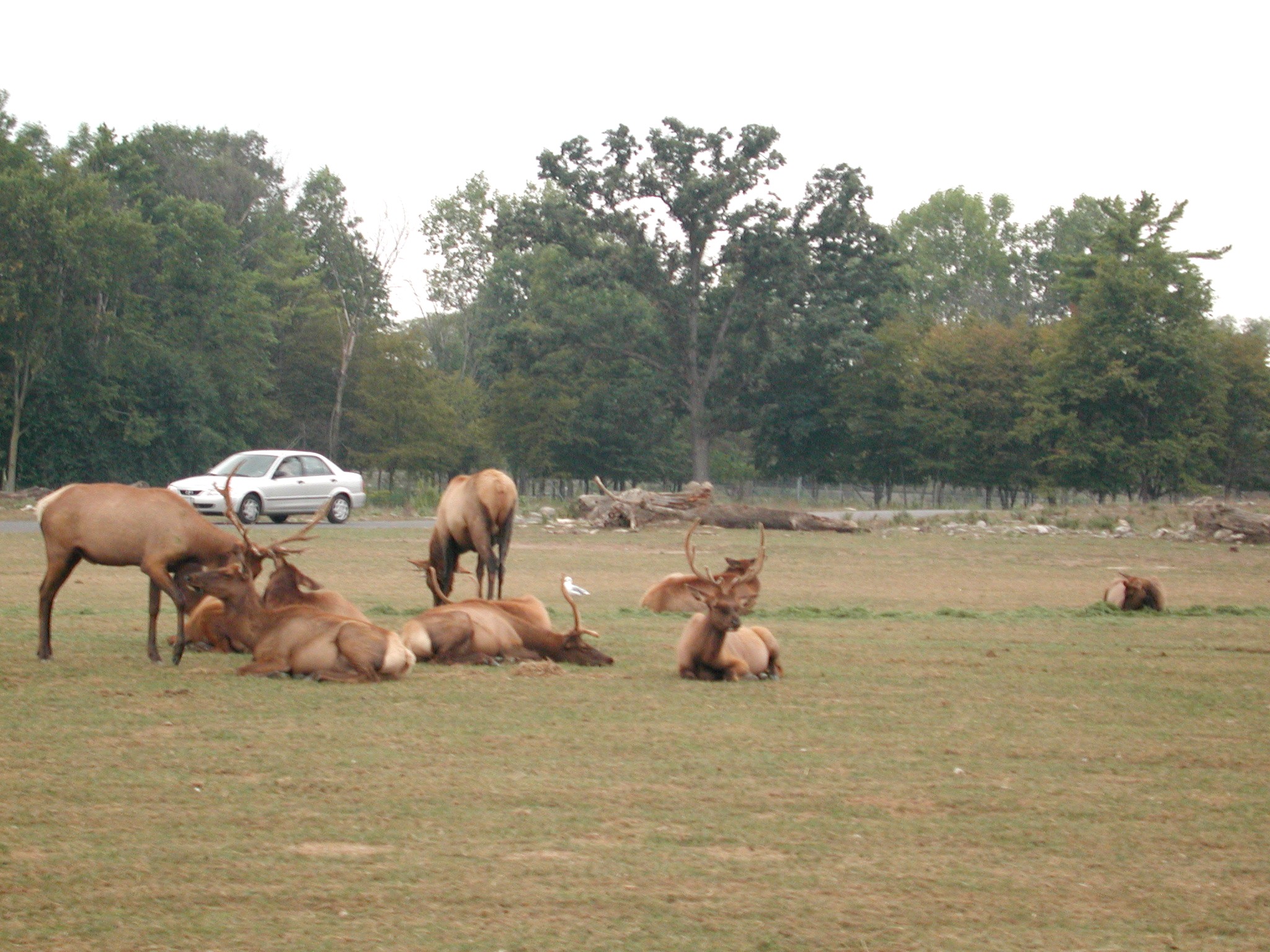 DSCN5039.JPG, 721874 bytes, 12/27/02