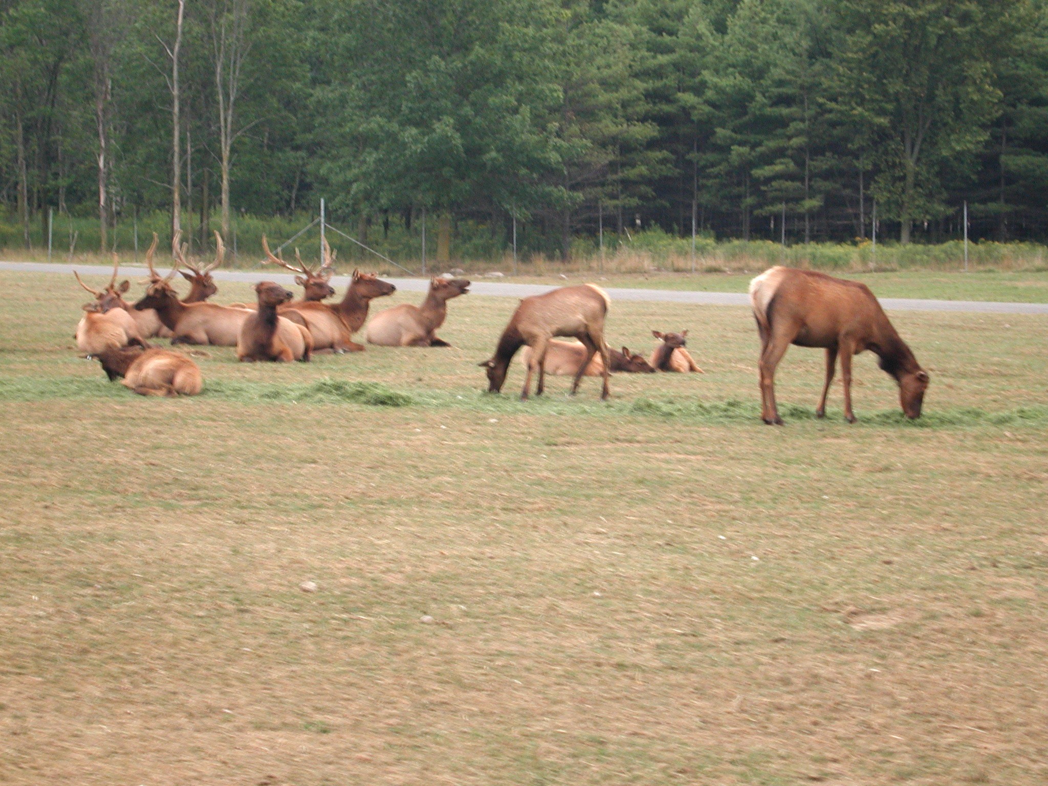 DSCN5040.JPG, 879208 bytes, 12/27/02