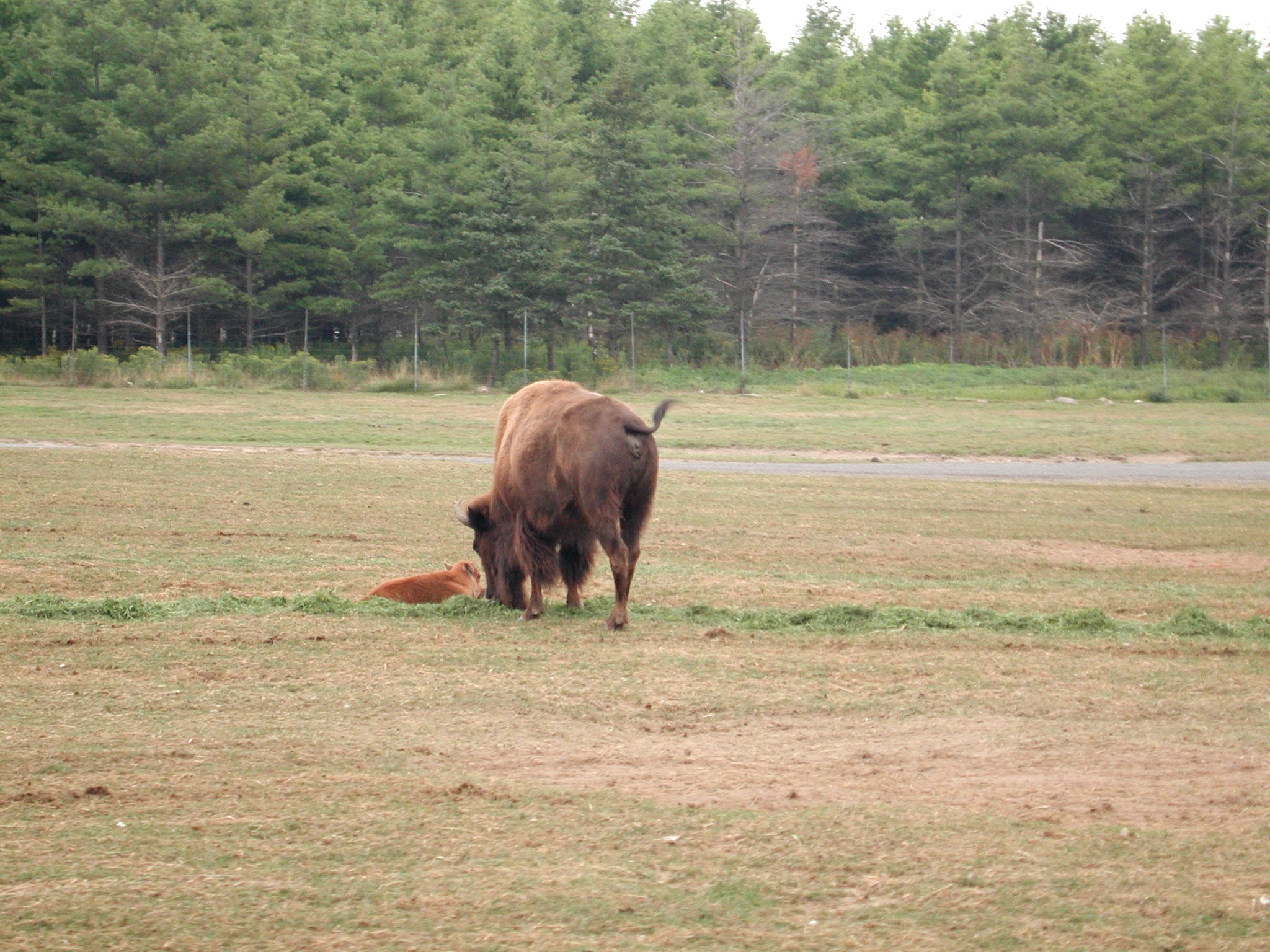 DSCN5041.JPG, 883204 bytes, 12/27/02