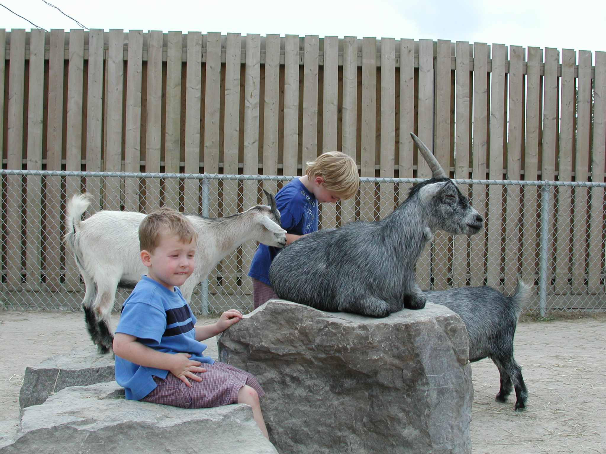 DSCN5046.JPG, 1008941 bytes, 8/29/02