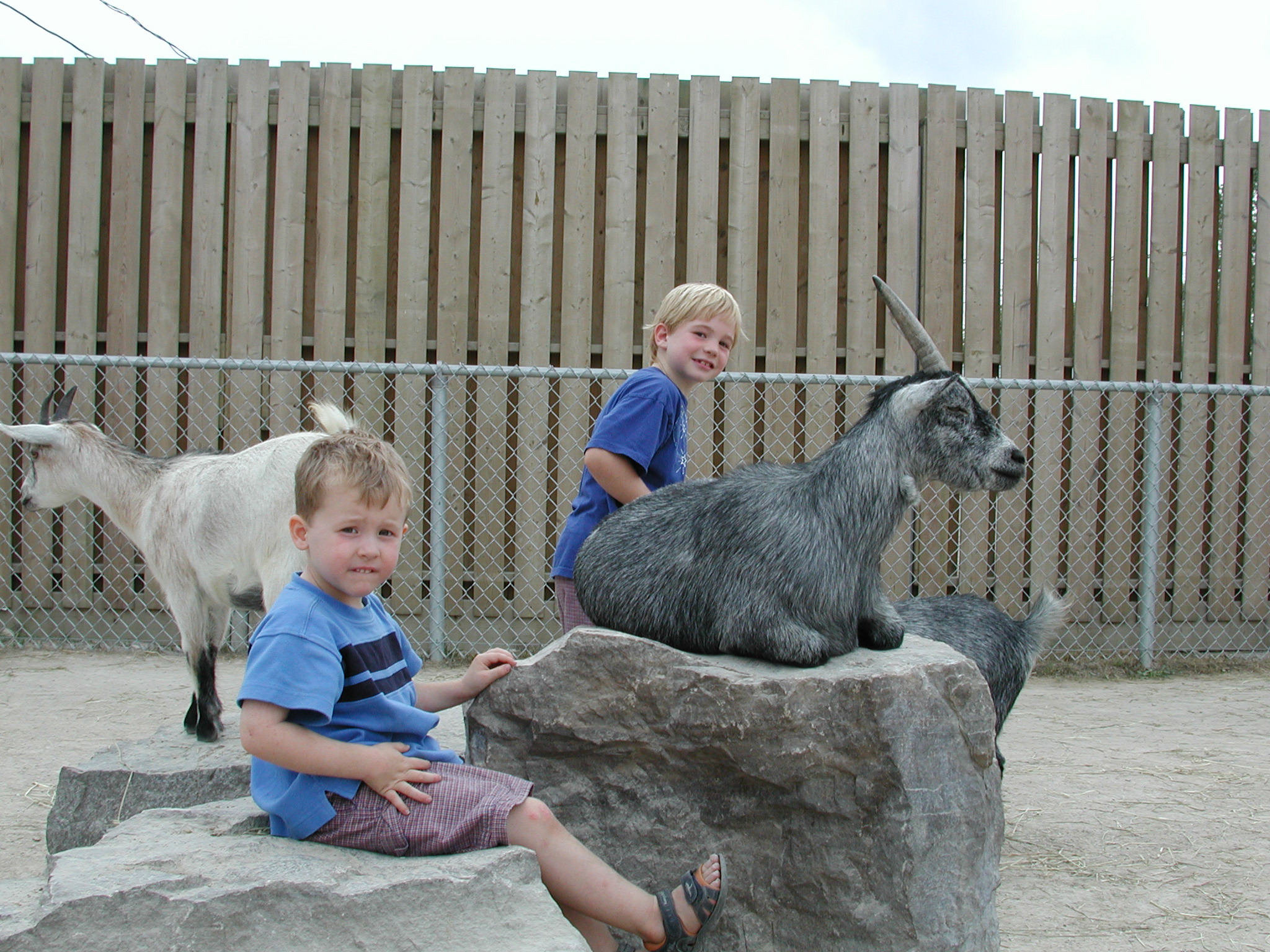 DSCN5047.JPG, 1002131 bytes, 8/29/02