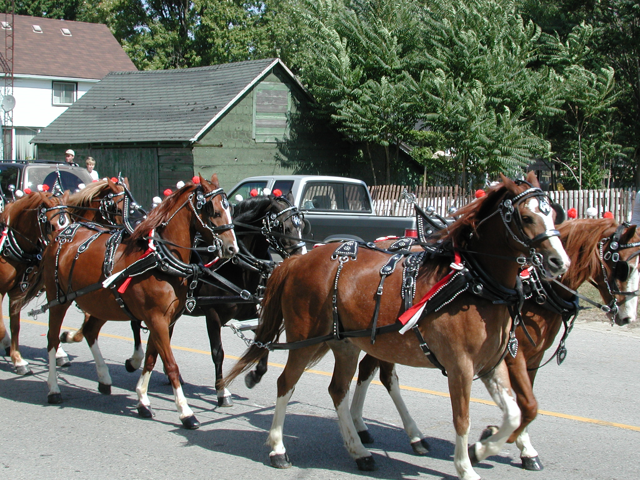 DSCN5069.JPG, 1103476 bytes, 8/31/02