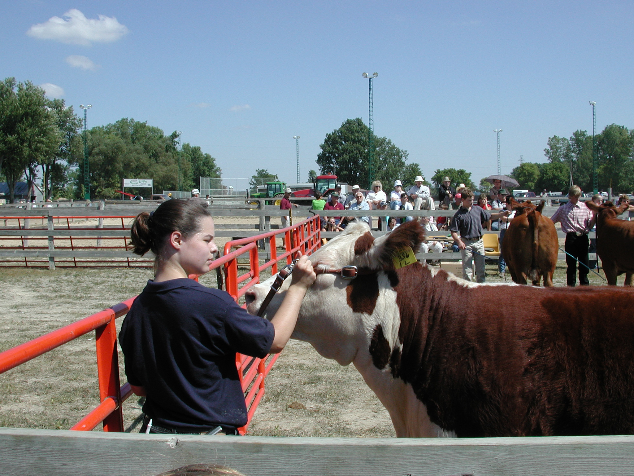 DSCN5099.JPG, 988578 bytes, 8/31/02