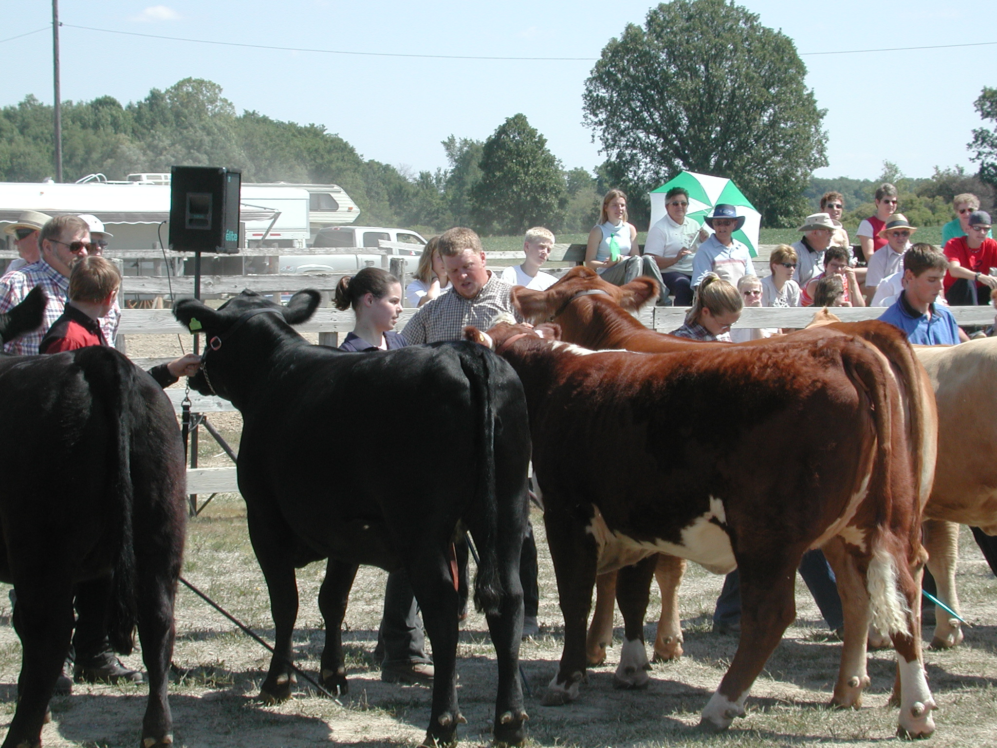 DSCN5101.JPG, 987467 bytes, 8/31/02