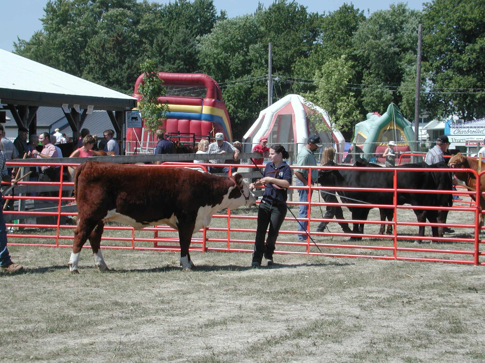 DSCN5104.JPG, 1060140 bytes, 8/31/02