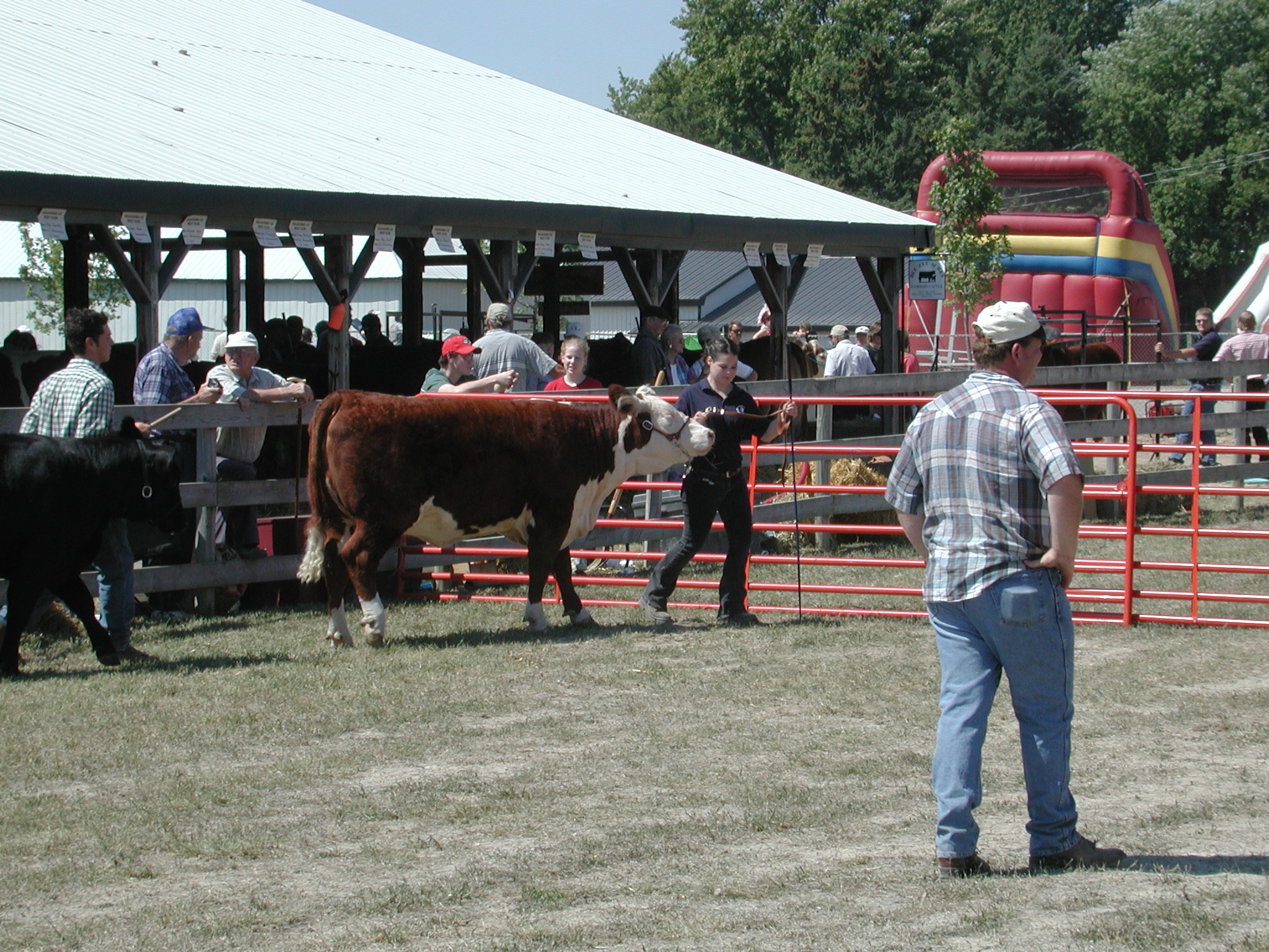 DSCN5109.JPG, 1049456 bytes, 8/31/02