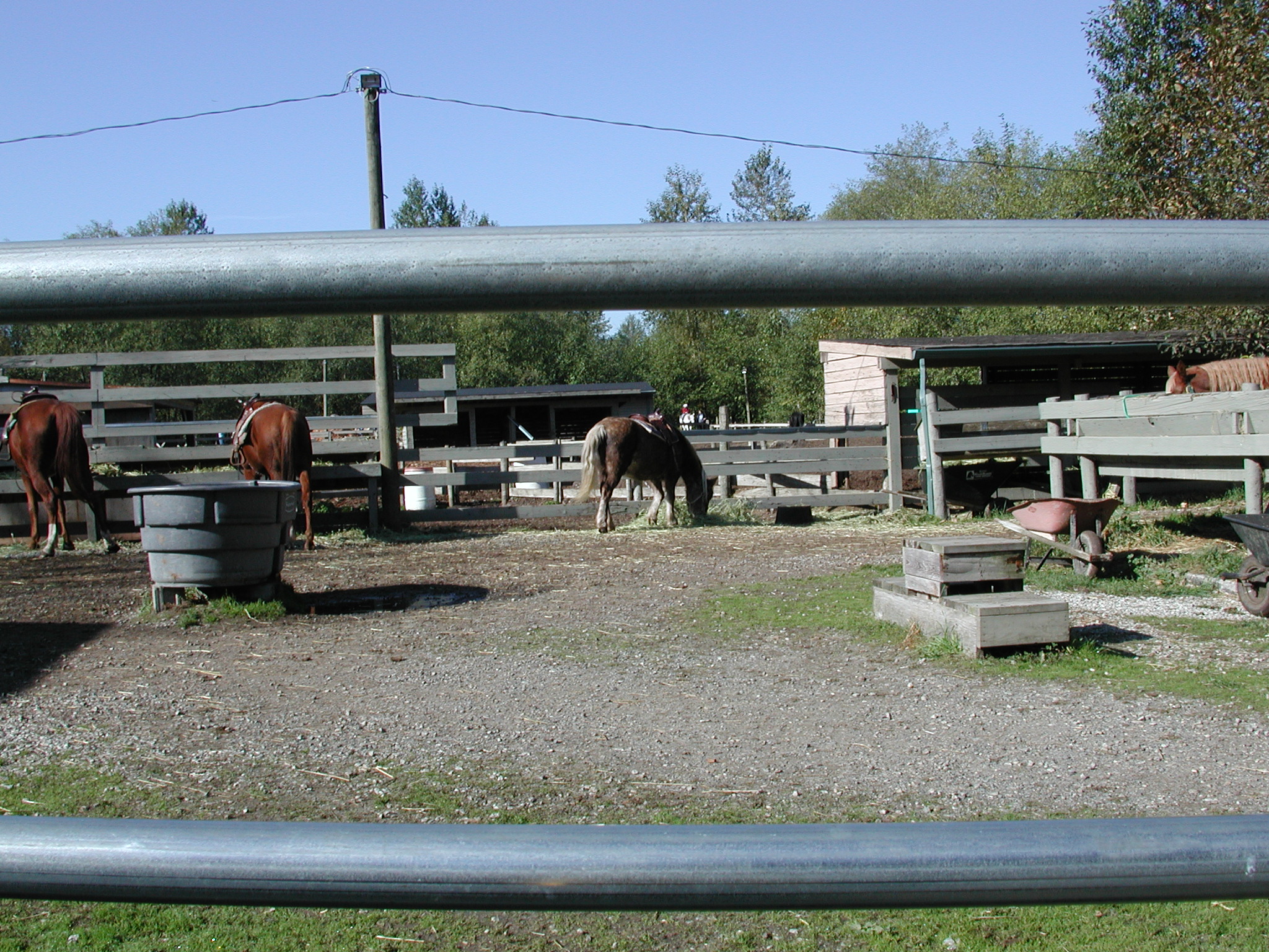 DSCN5295.JPG, 1119299 bytes, 10/12/02