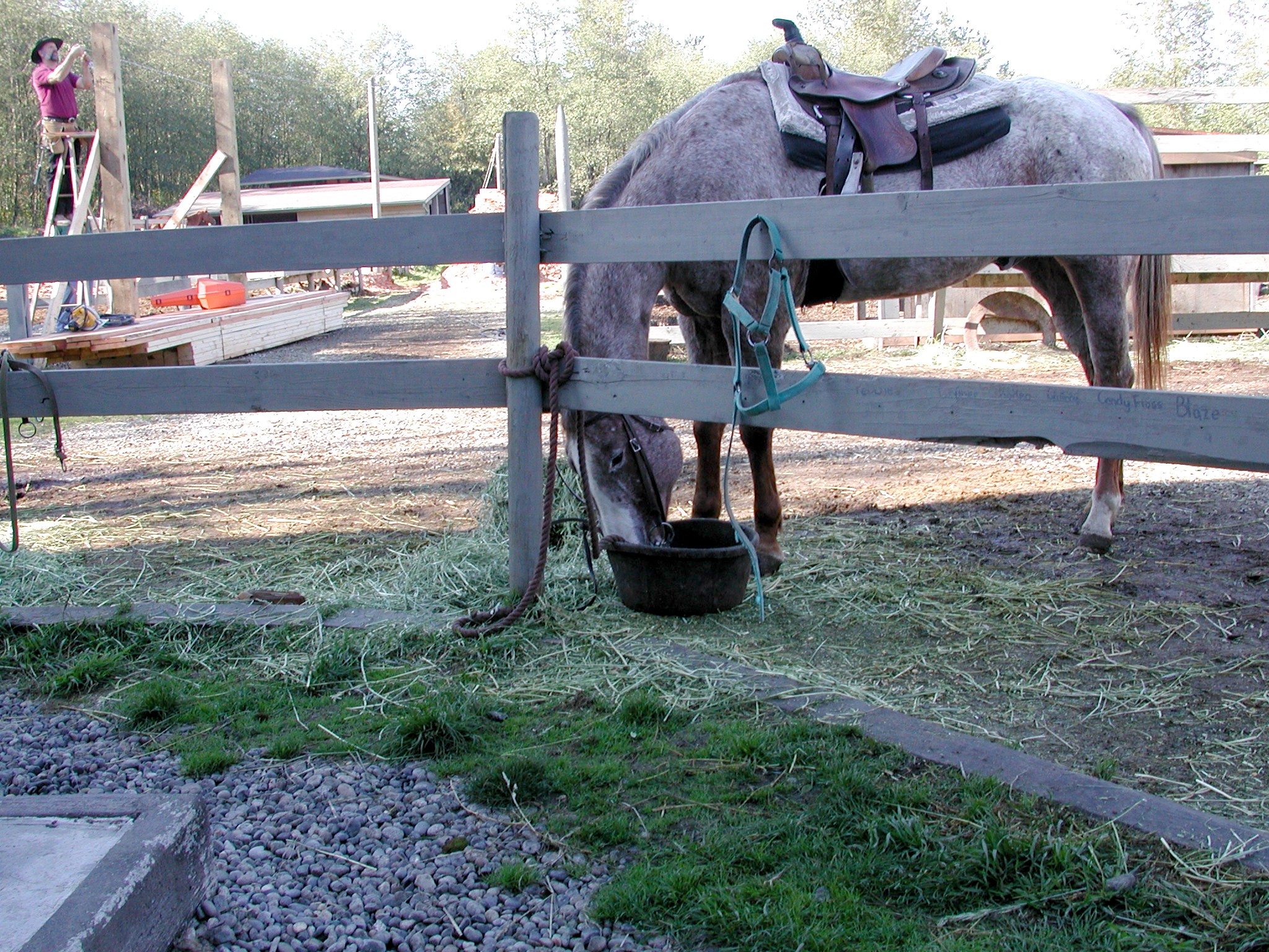 DSCN5296.JPG, 1071168 bytes, 12/27/02