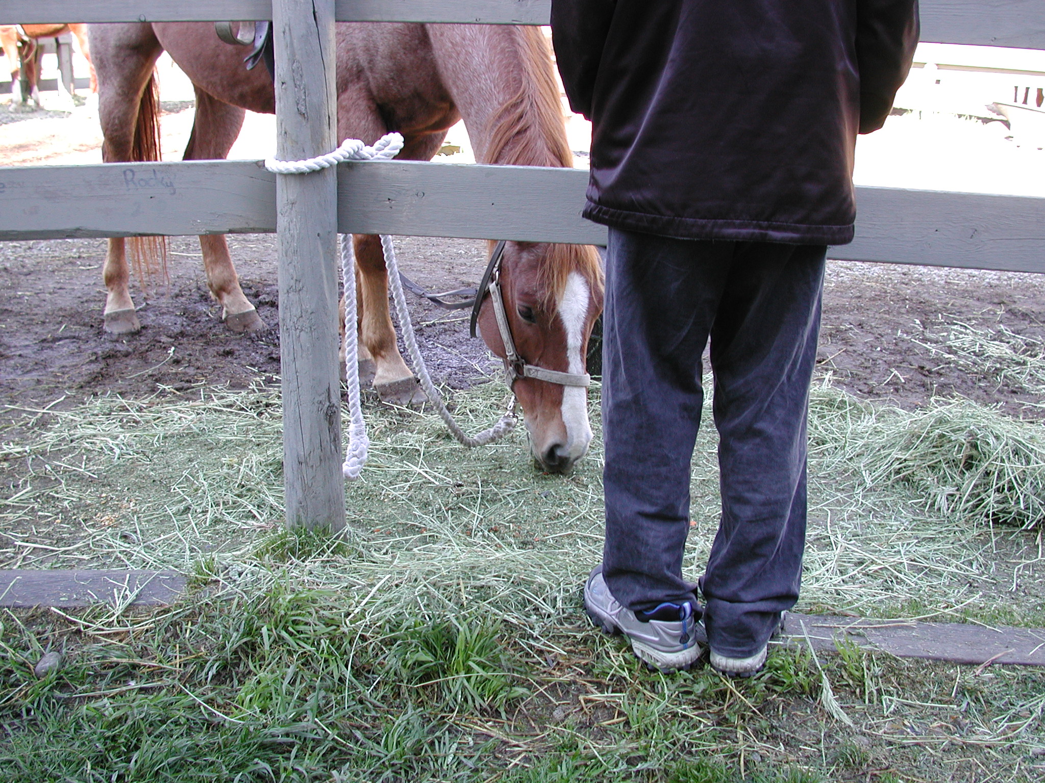 DSCN5297.JPG, 1095299 bytes, 10/12/02