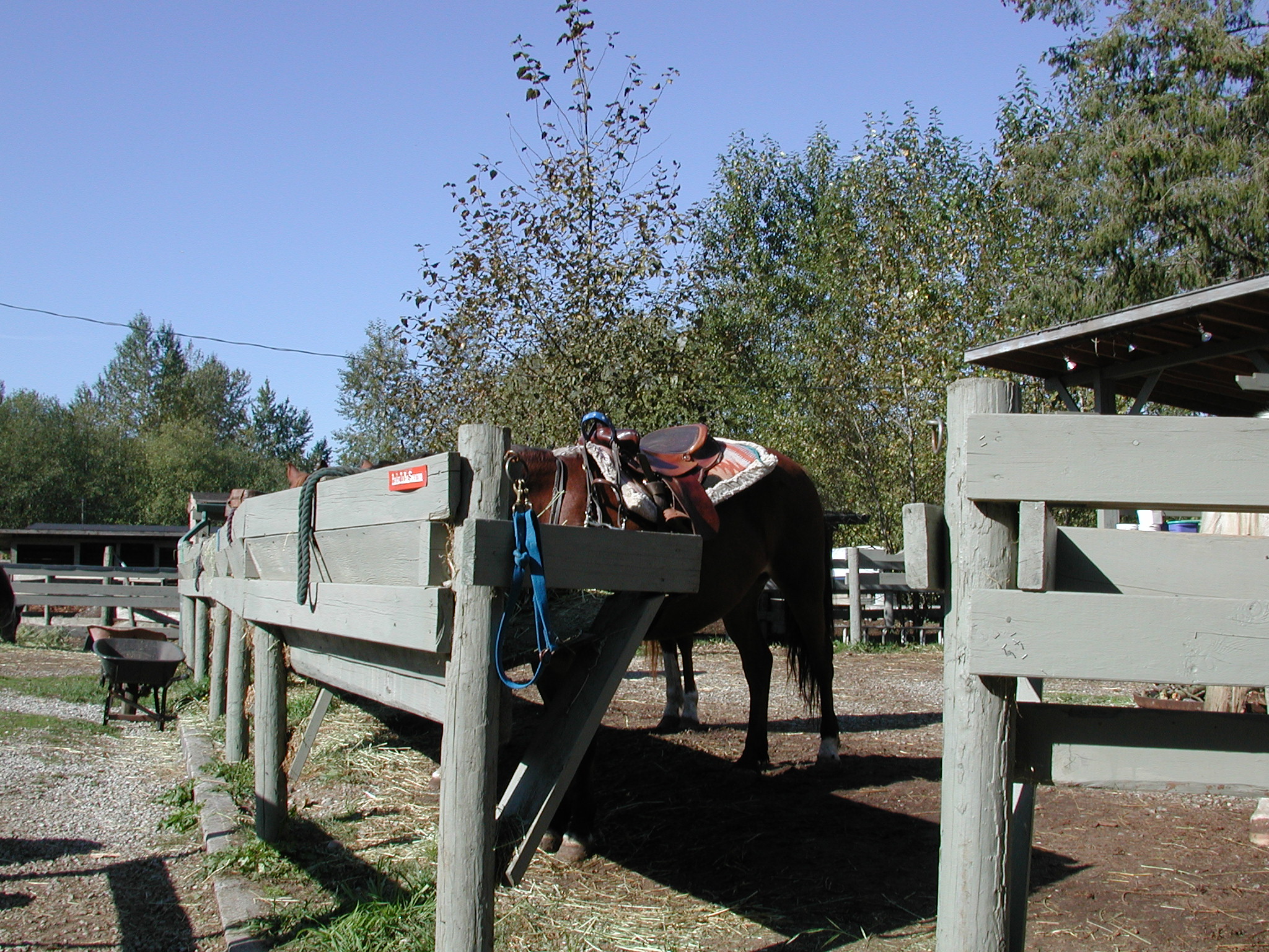 DSCN5298.JPG, 1082210 bytes, 10/12/02