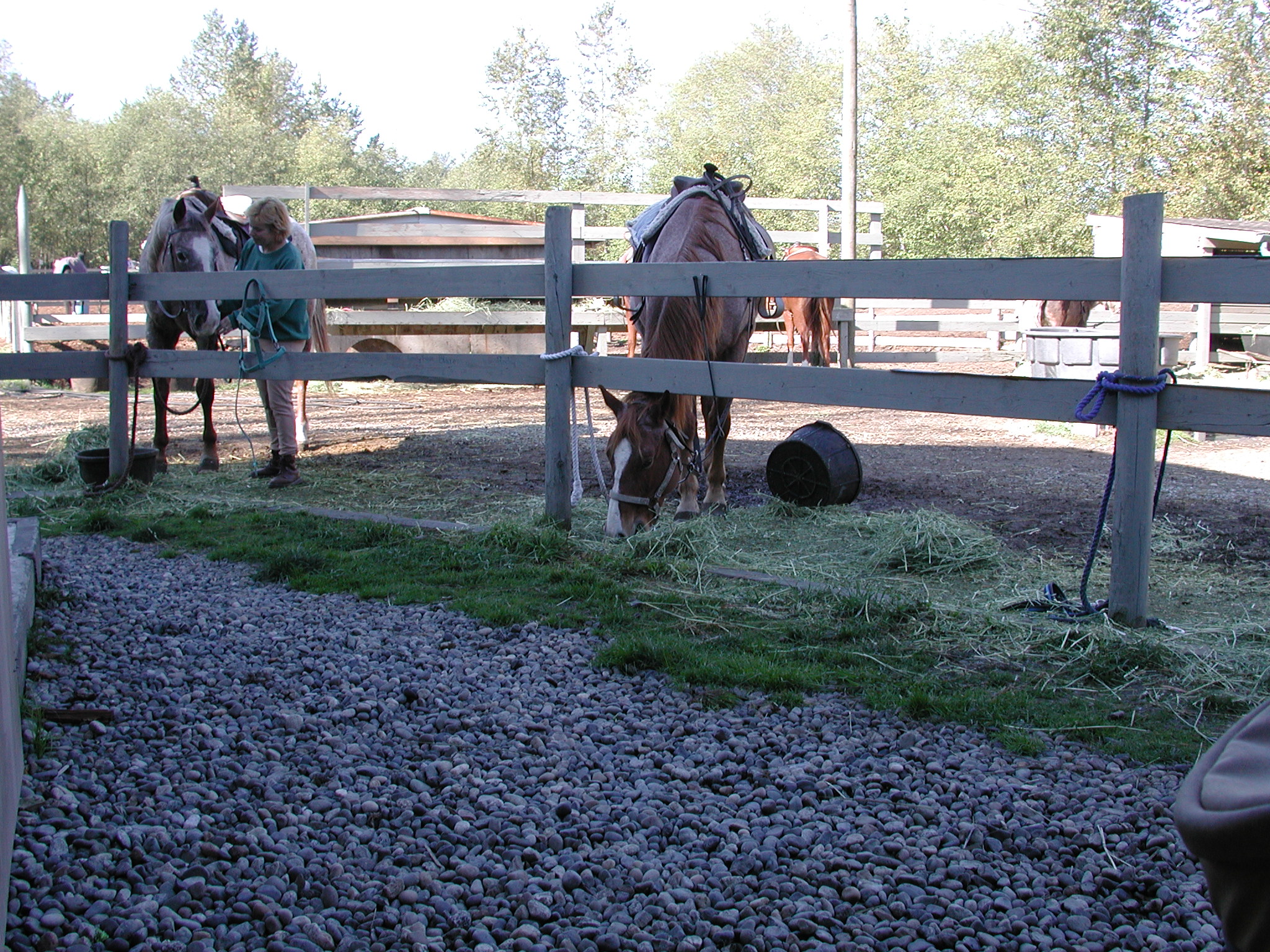 DSCN5300.JPG, 1162713 bytes, 10/12/02