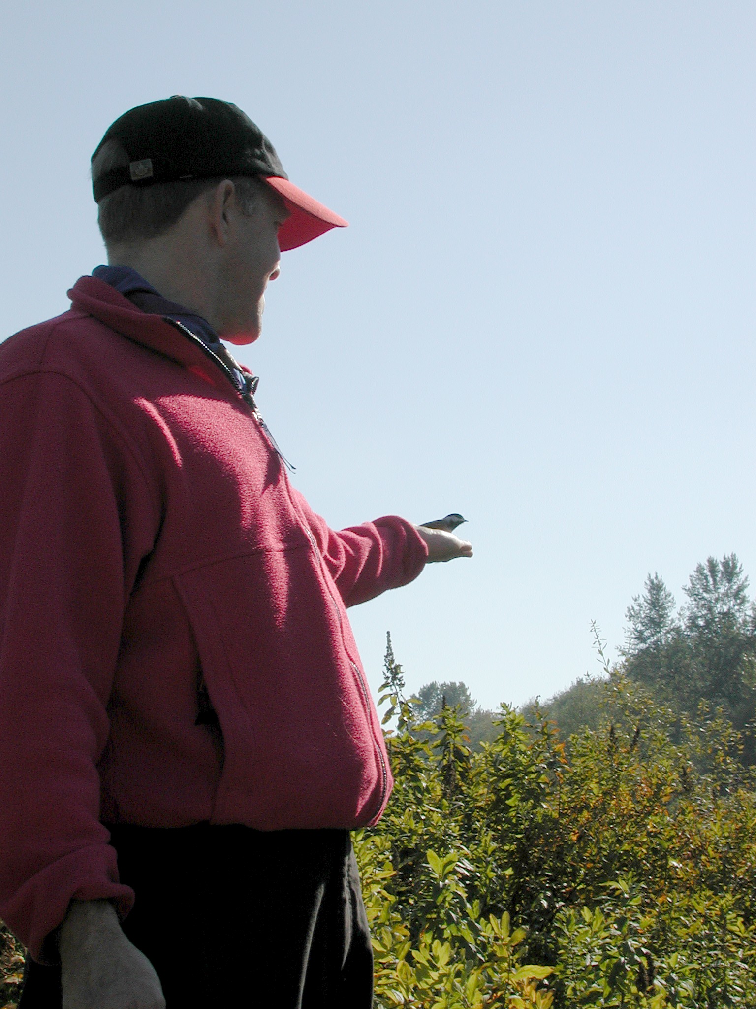 DSCN5305.JPG, 626862 bytes, 12/27/02