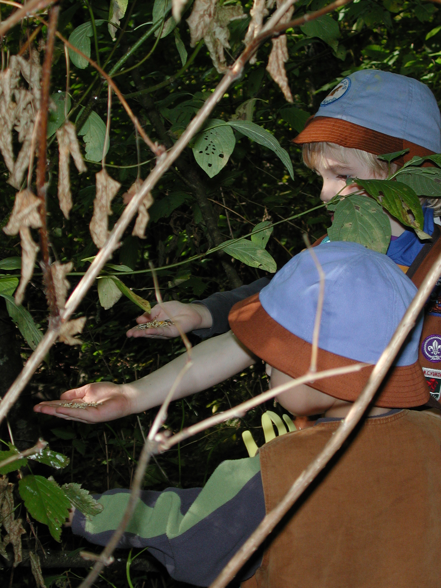 DSCN5311.JPG, 1018528 bytes, 10/12/02