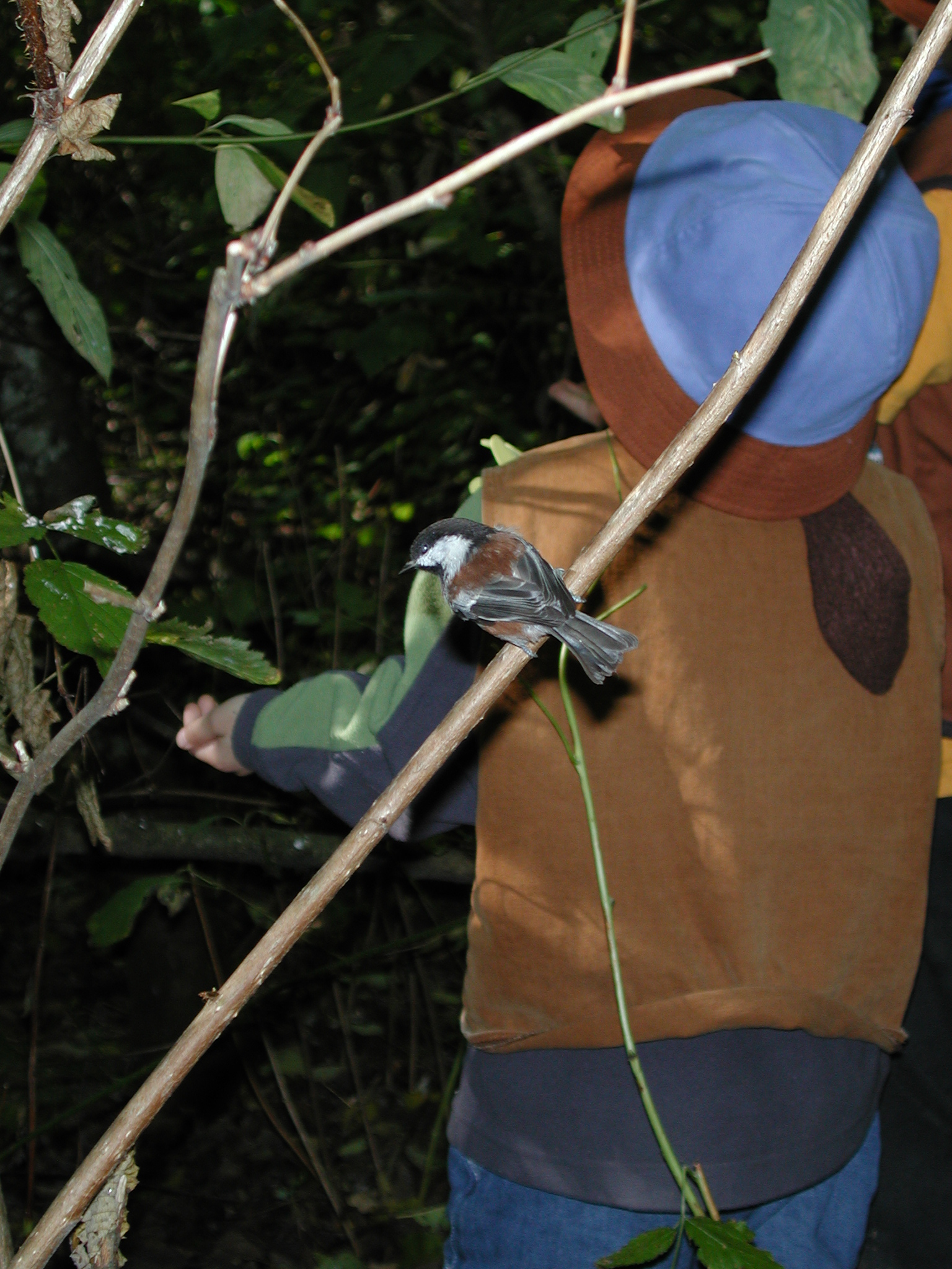 DSCN5313.JPG, 1135317 bytes, 10/12/02