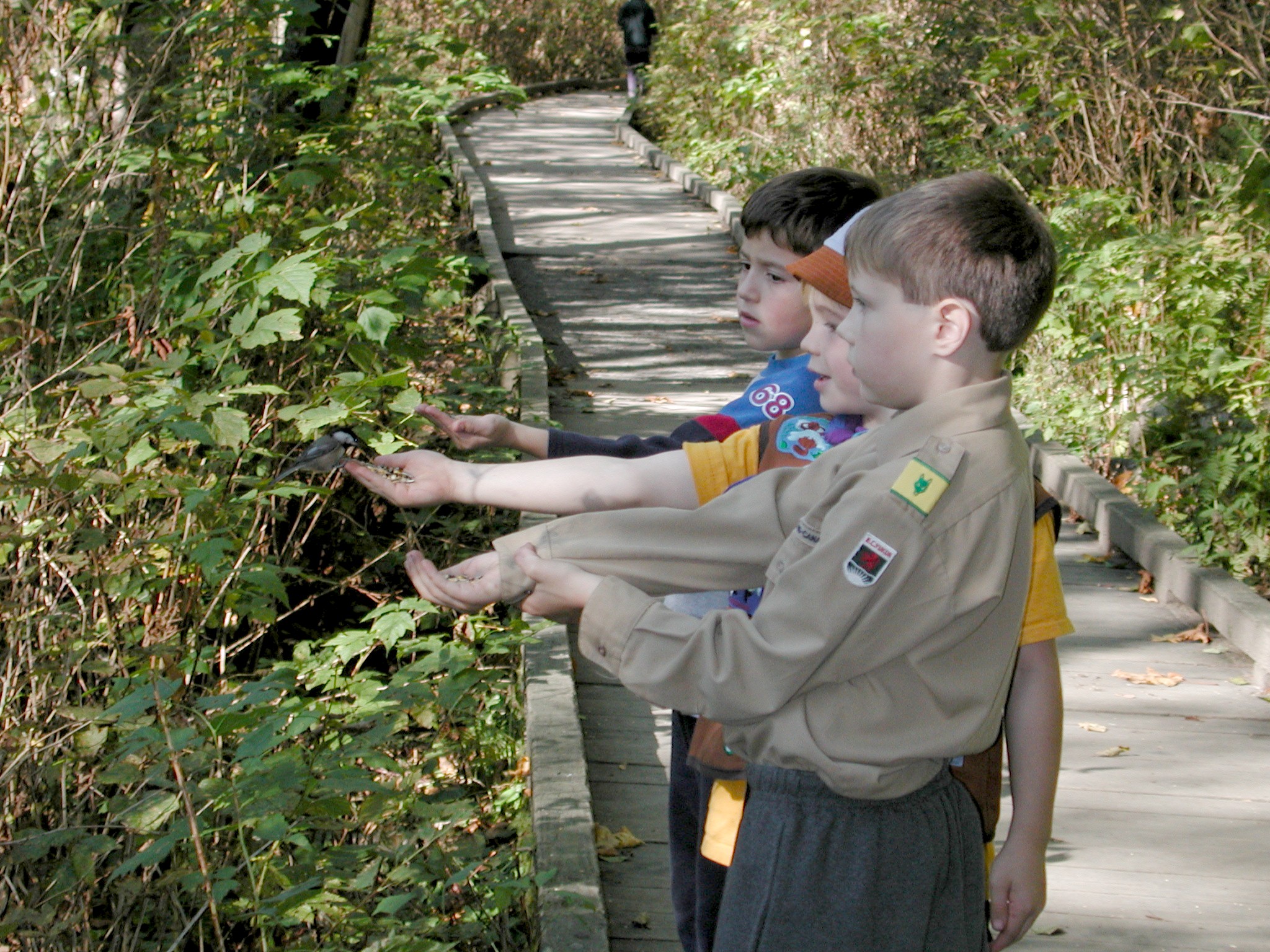 DSCN5322.JPG, 943110 bytes, 12/27/02