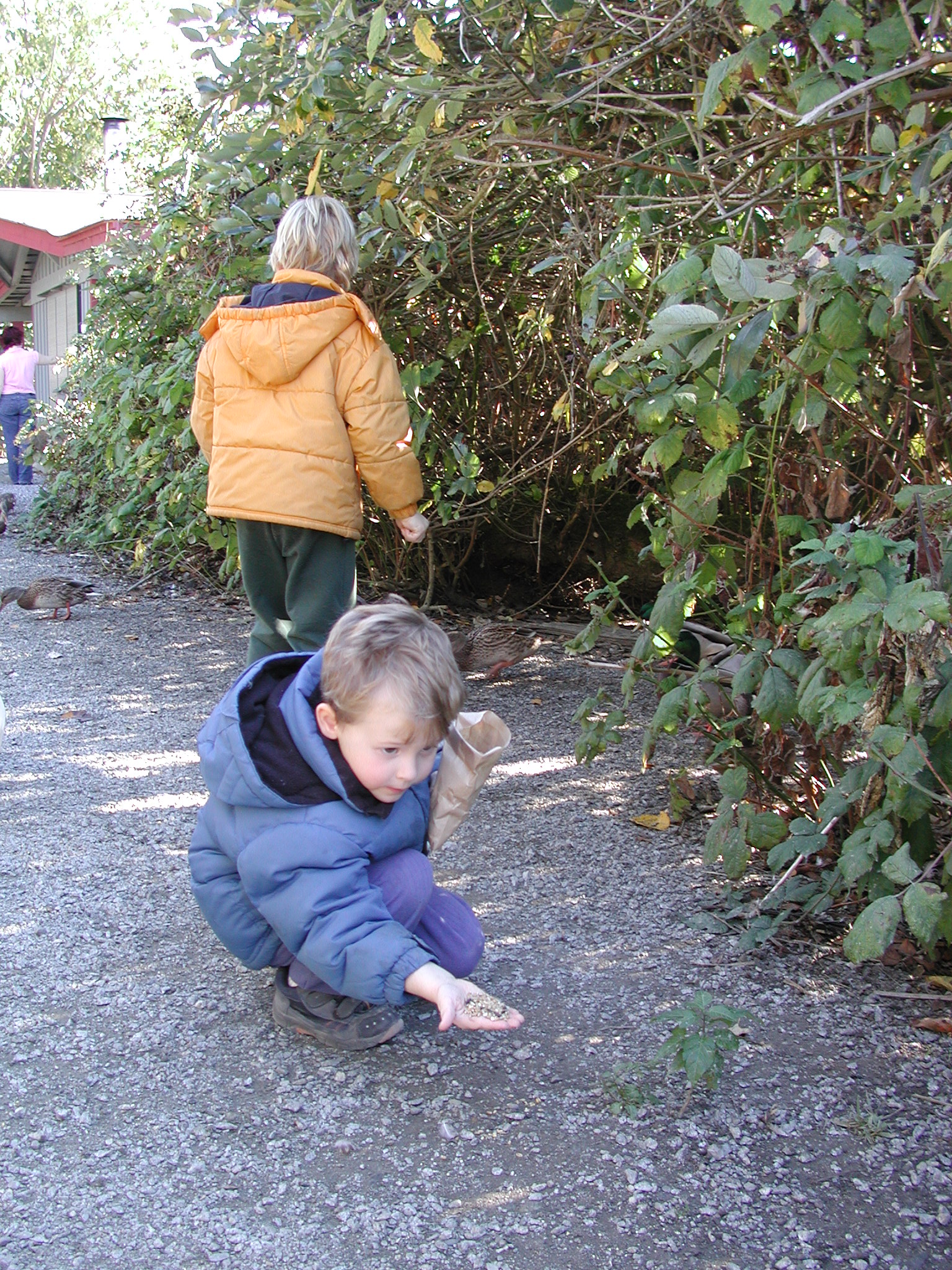 DSCN5336.JPG, 1170046 bytes, 10/14/02