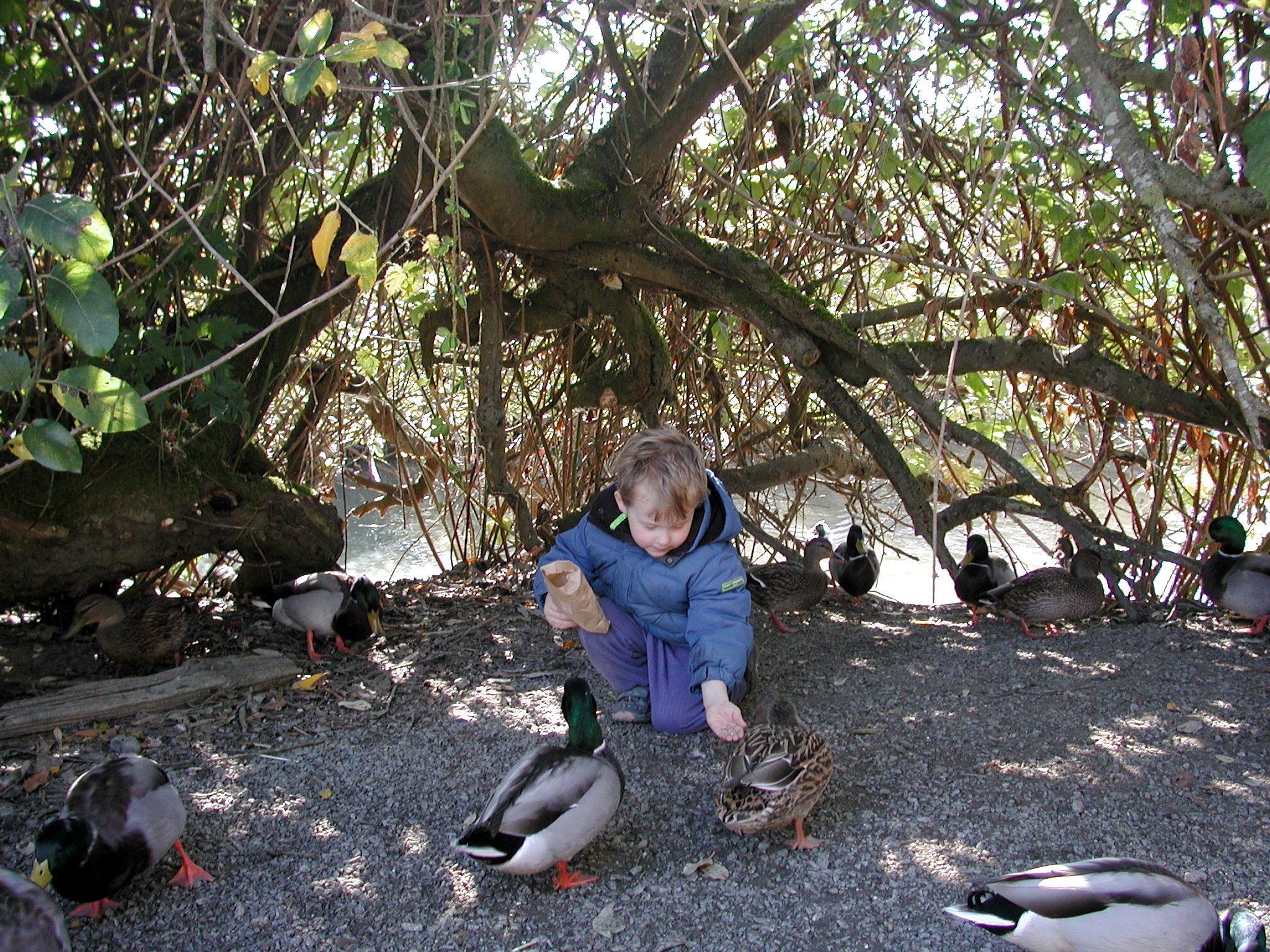 DSCN5339.JPG, 1181573 bytes, 12/27/02