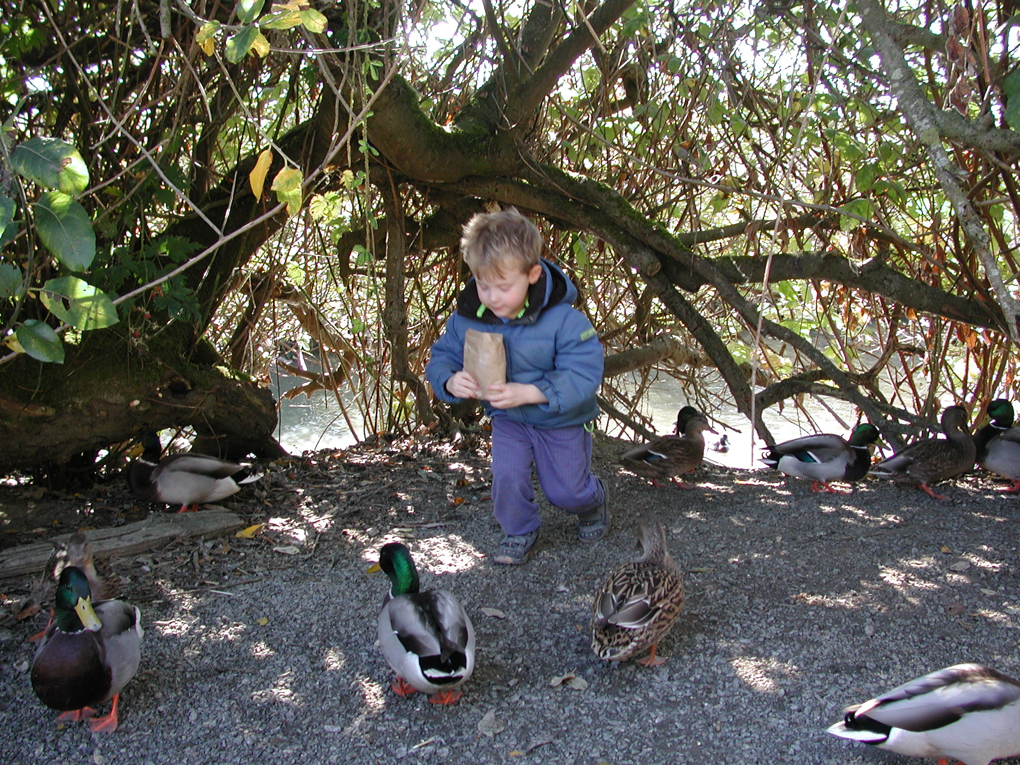 DSCN5340.JPG, 1180016 bytes, 10/14/02