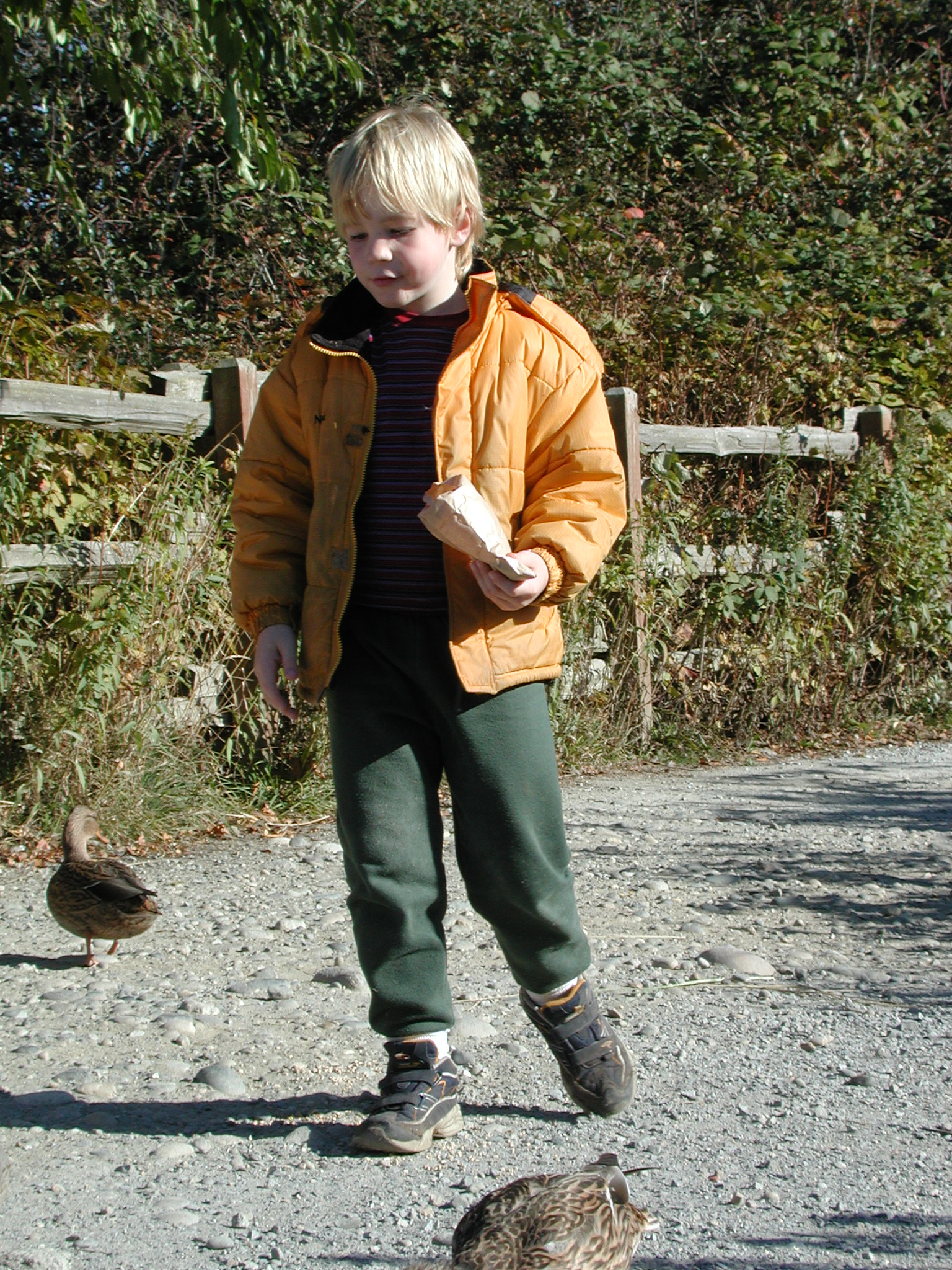 DSCN5353.JPG, 1111437 bytes, 10/14/02