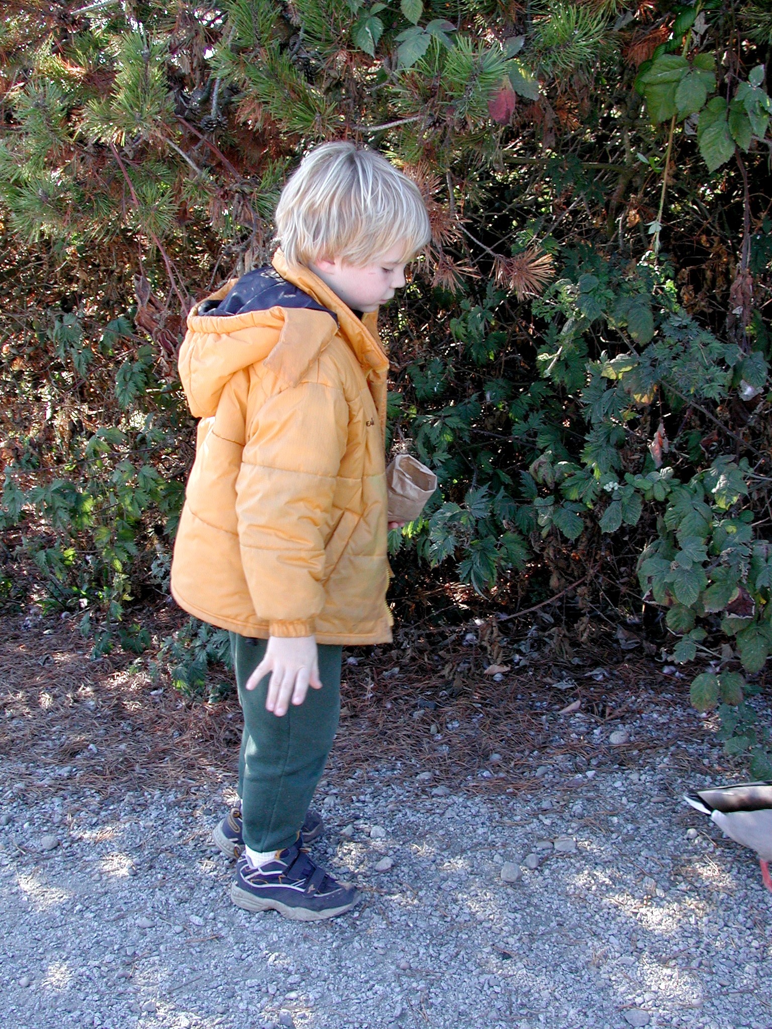 DSCN5355.JPG, 1219226 bytes, 12/27/02