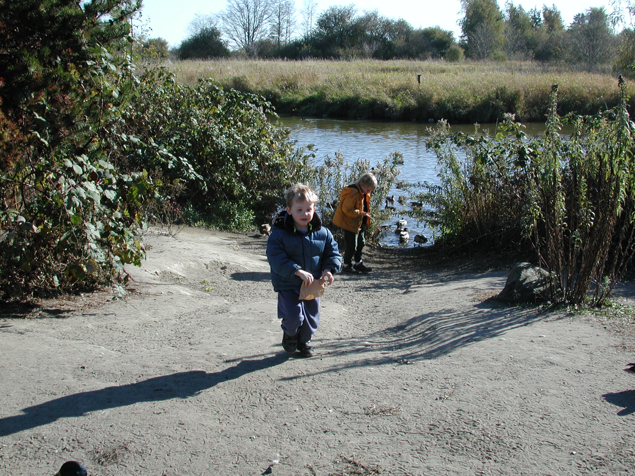 DSCN5356.JPG, 1171422 bytes, 10/14/02