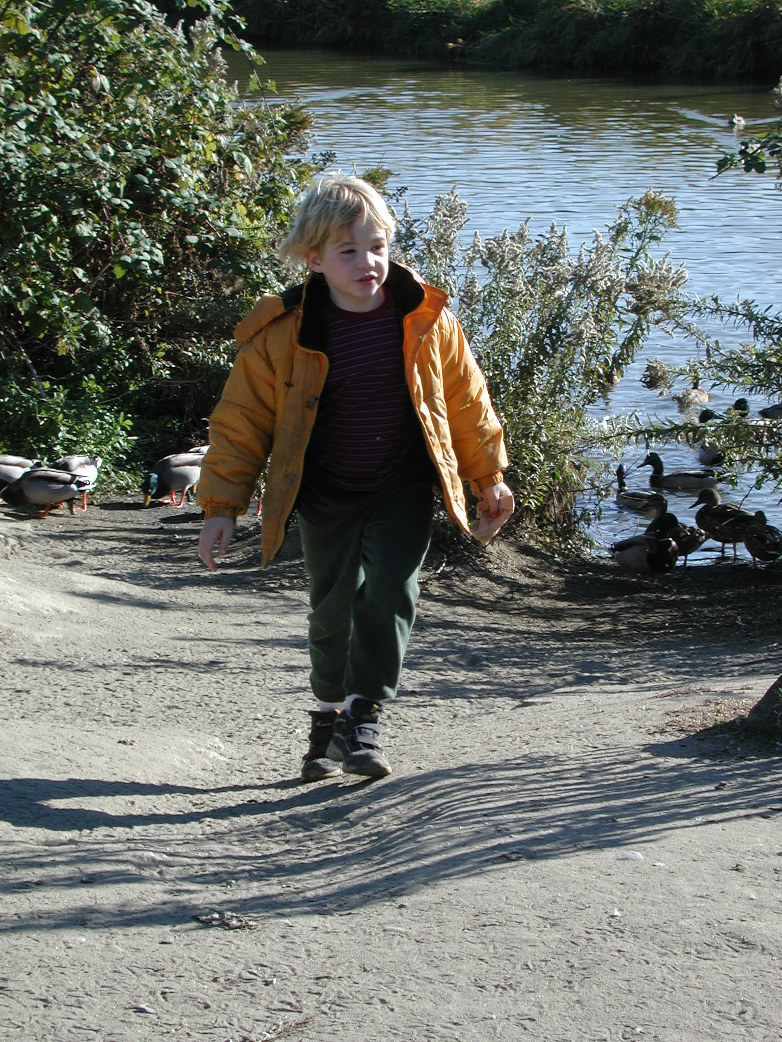 DSCN5357.JPG, 1105607 bytes, 10/14/02