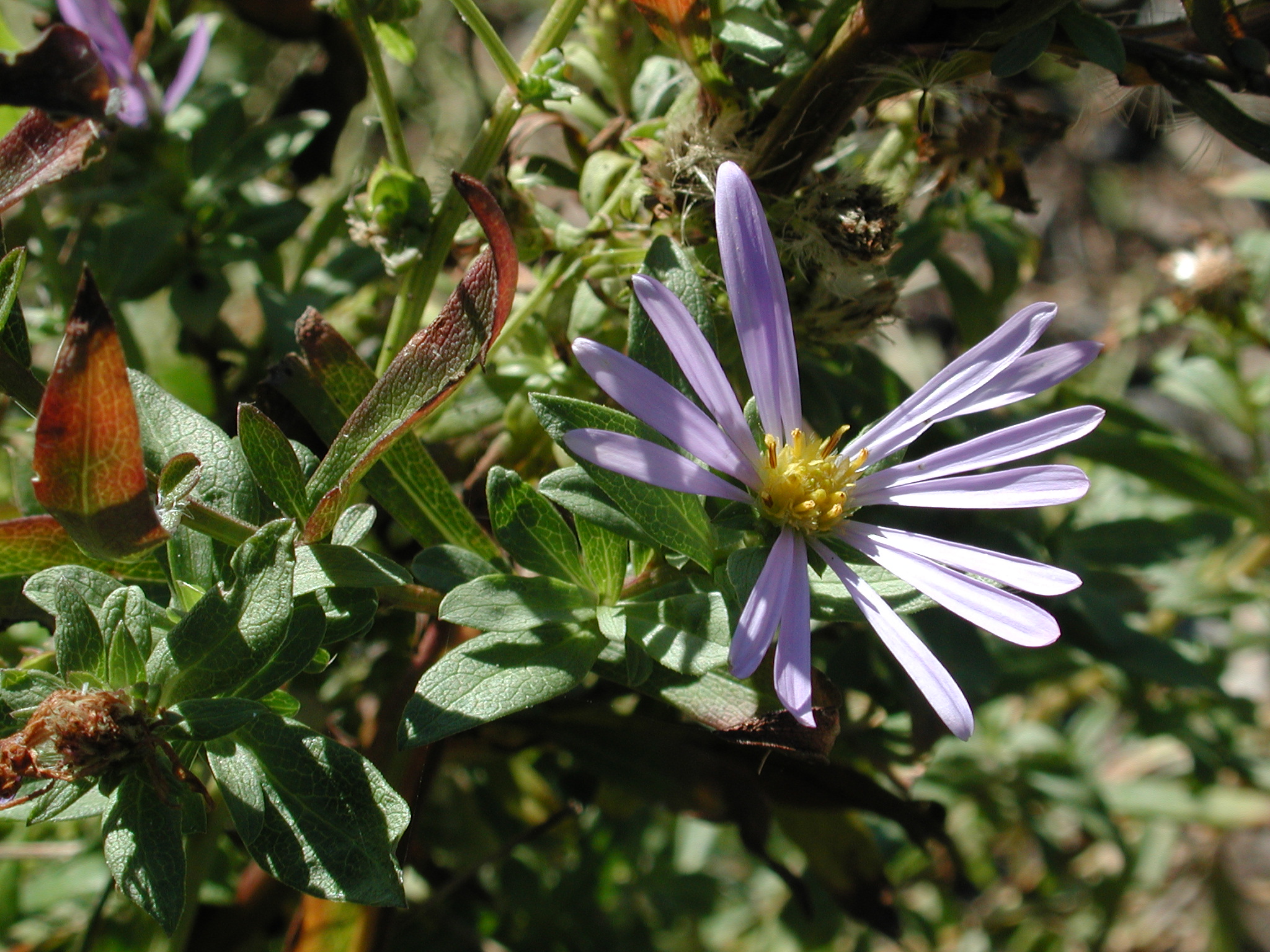 DSCN5366.JPG, 1063238 bytes, 10/14/02