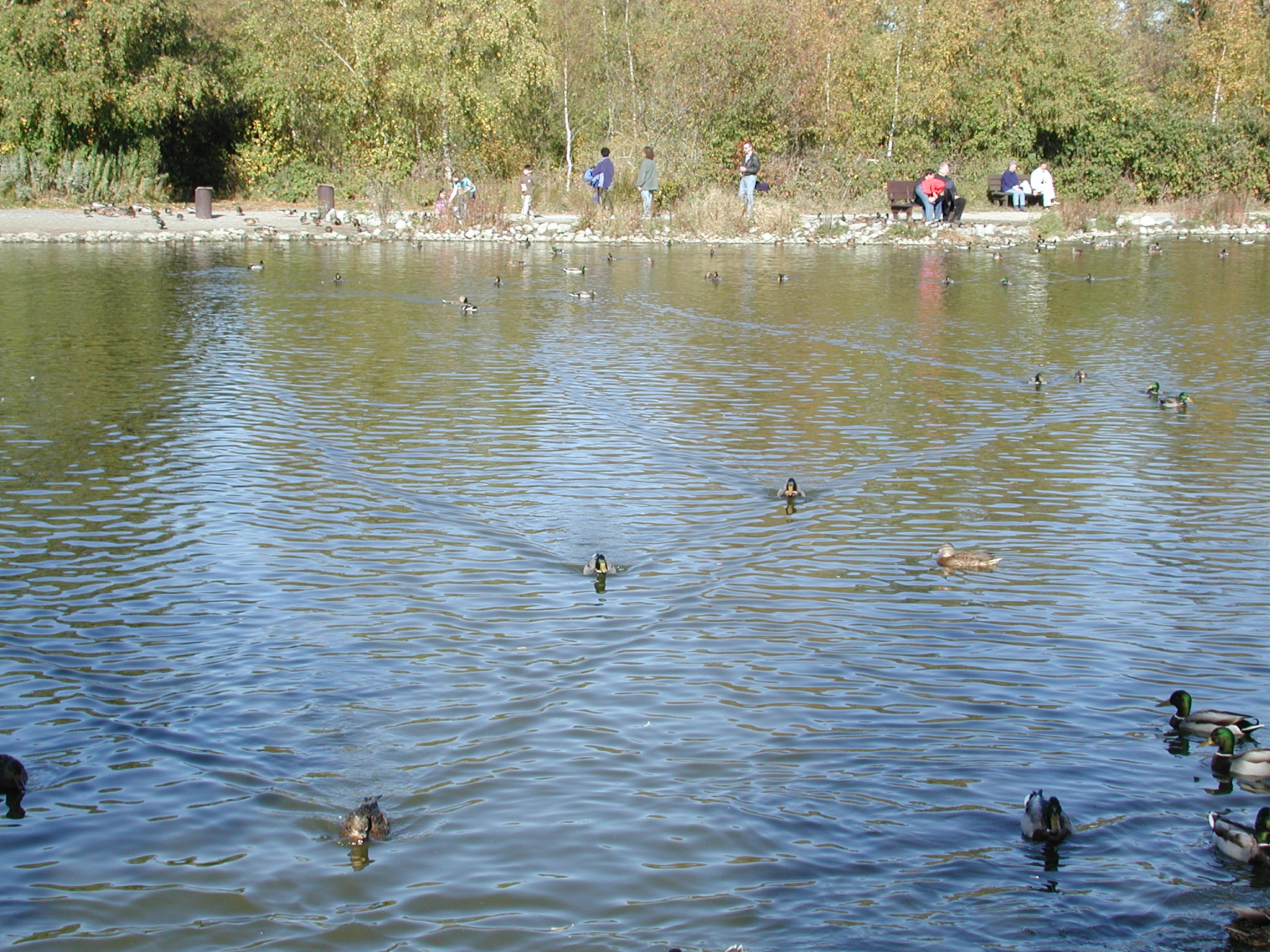 DSCN5373.JPG, 1121558 bytes, 10/14/02