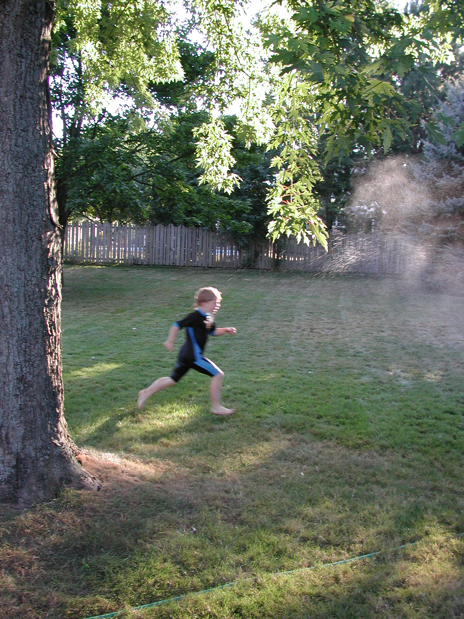 DSCN5151.JPG, 1179428 bytes, 8/31/02