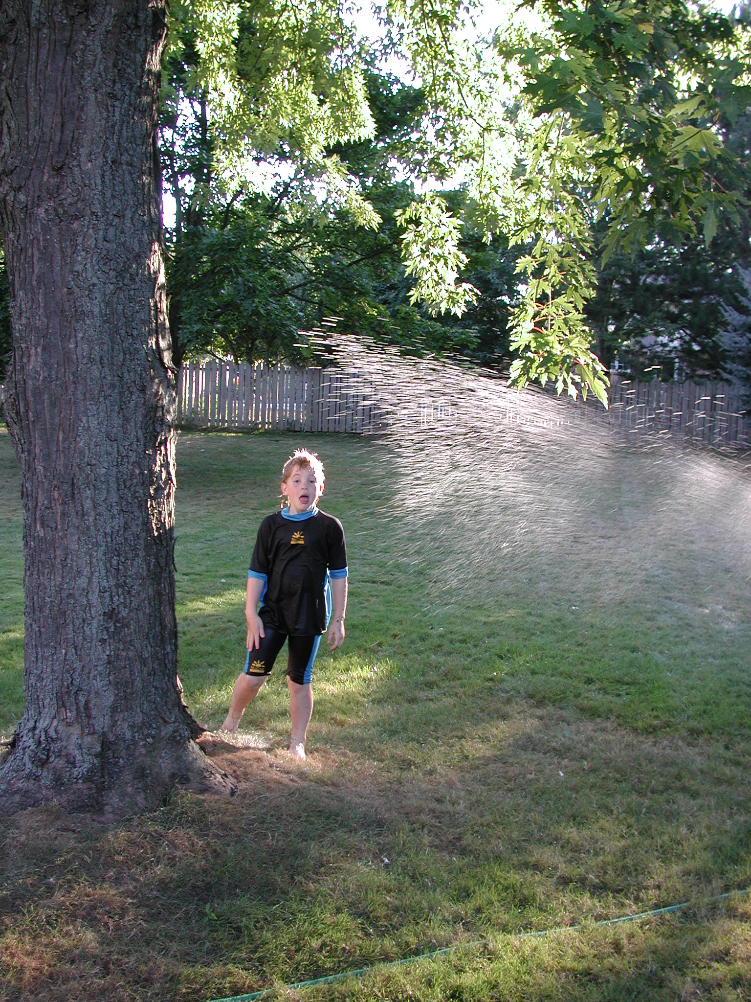 DSCN5152.JPG, 1176047 bytes, 8/31/02