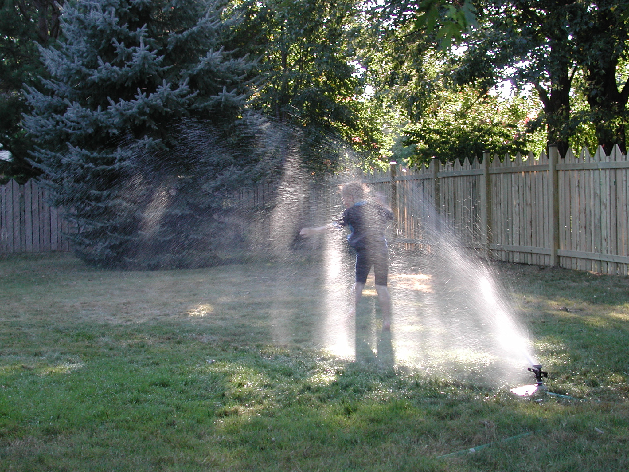 DSCN5159.JPG, 1144252 bytes, 8/31/02