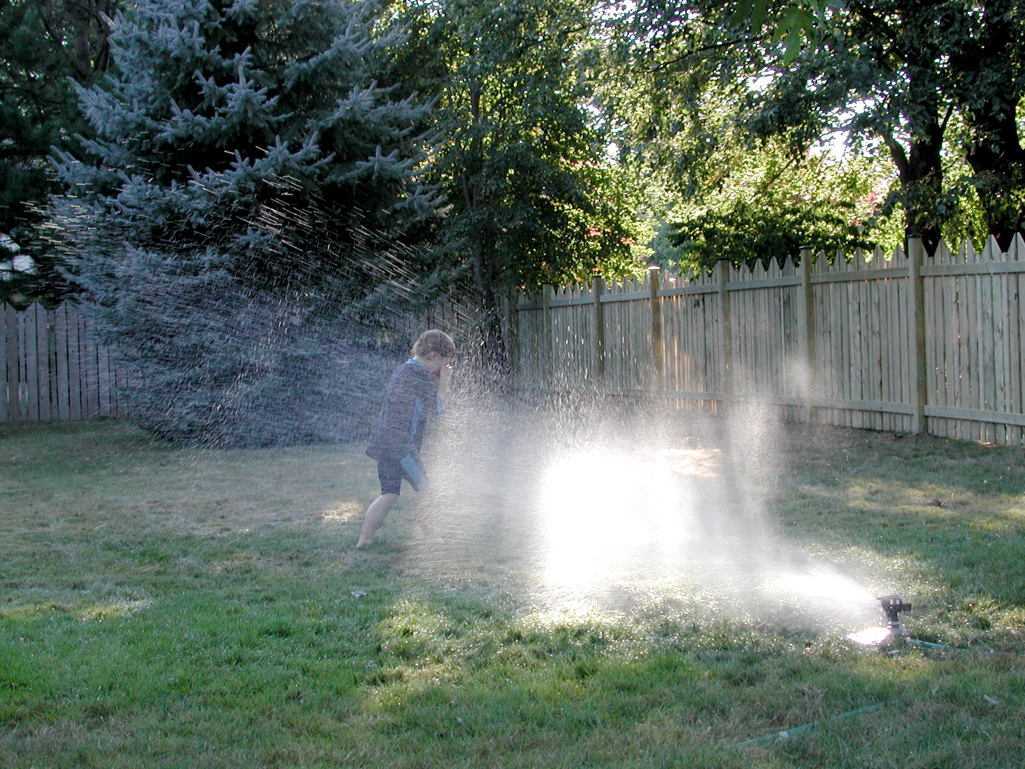 DSCN5160.JPG, 1060057 bytes, 12/27/02