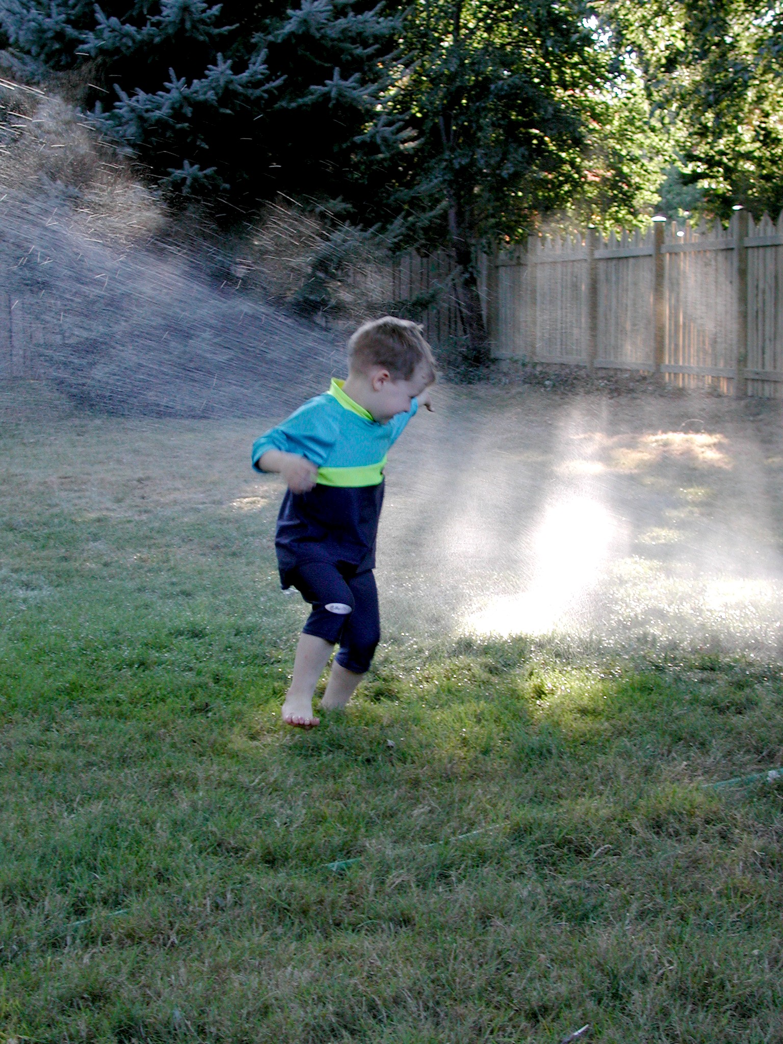 DSCN5168.JPG, 973989 bytes, 12/27/02